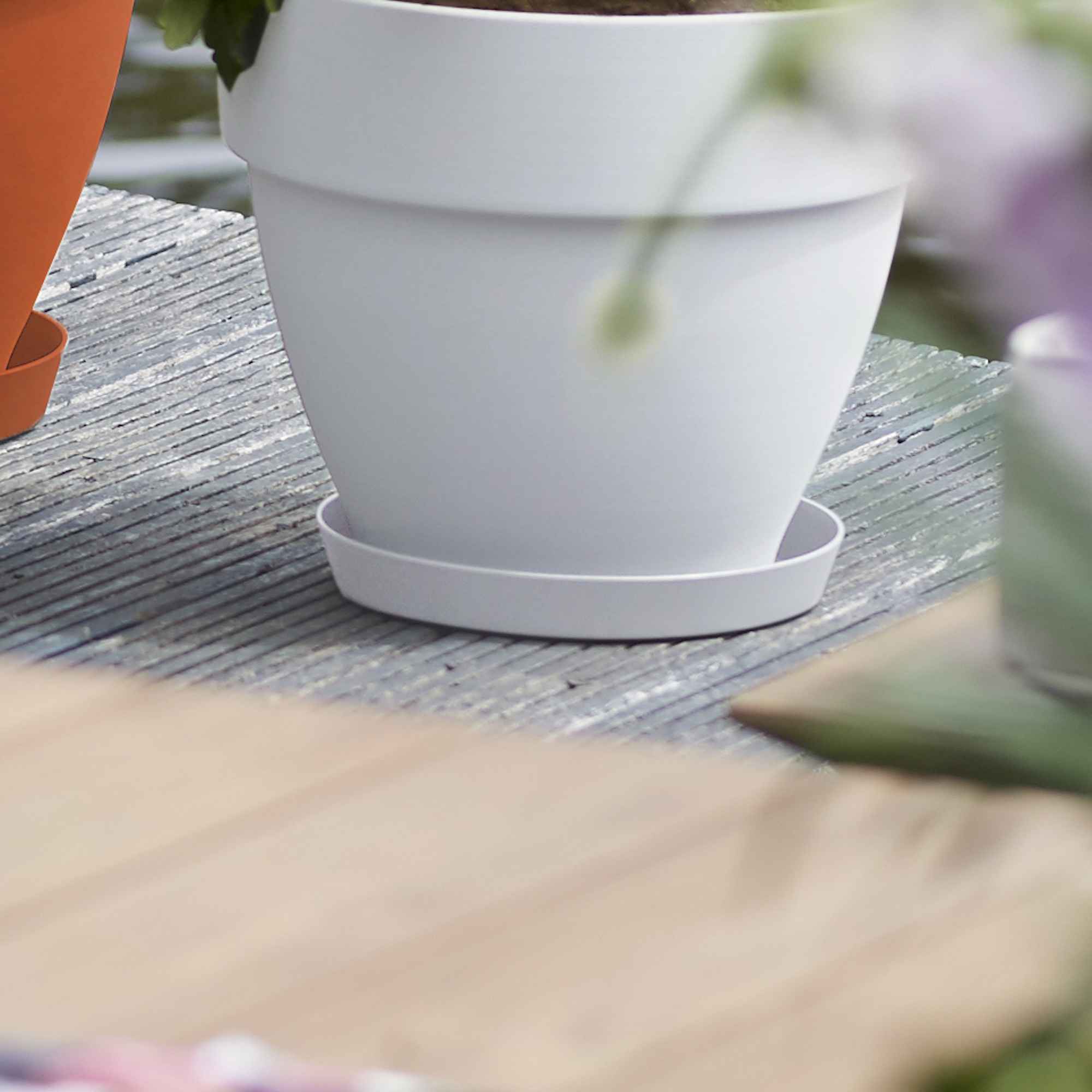 8711904186296_4.jpg 31116432bf03a44cf7818531daceb48d