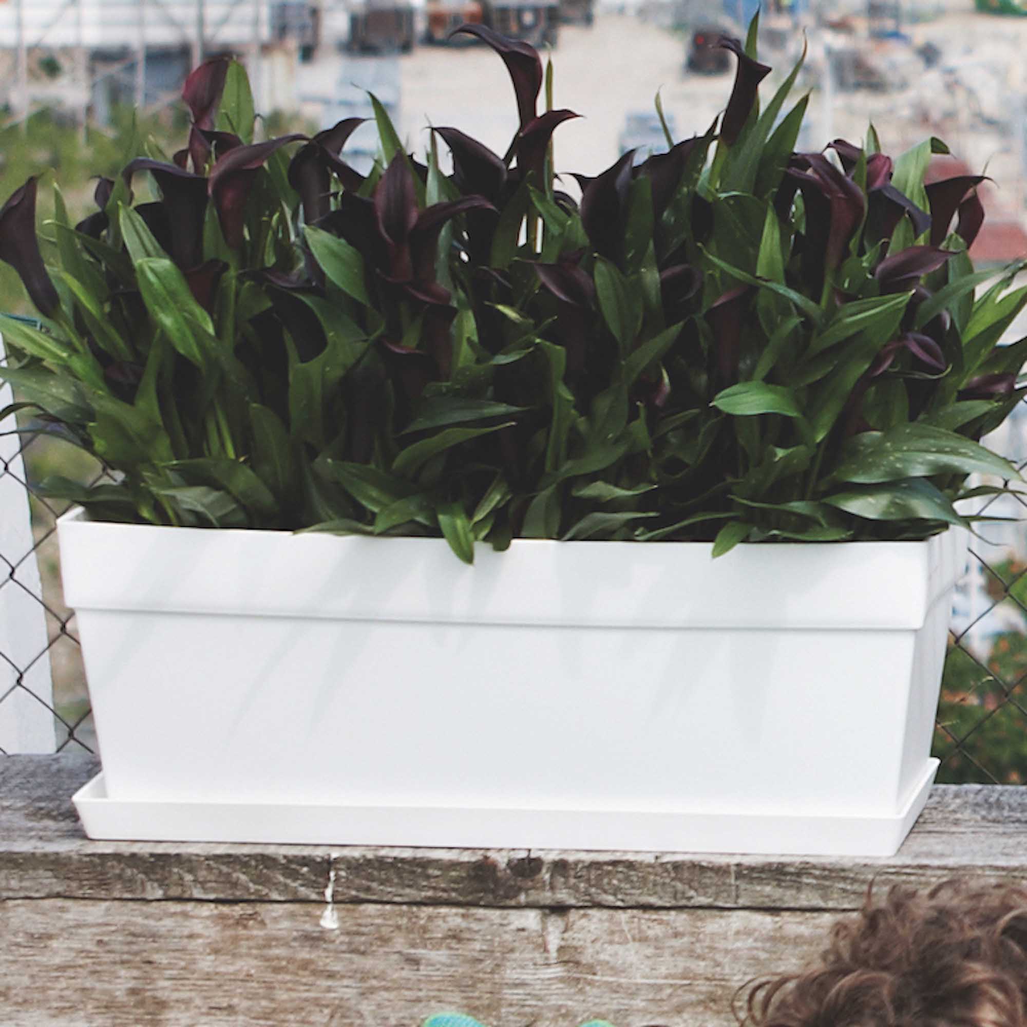 8711904189198_2.jpg f5e4d84689f4164a767e75aed3f30417