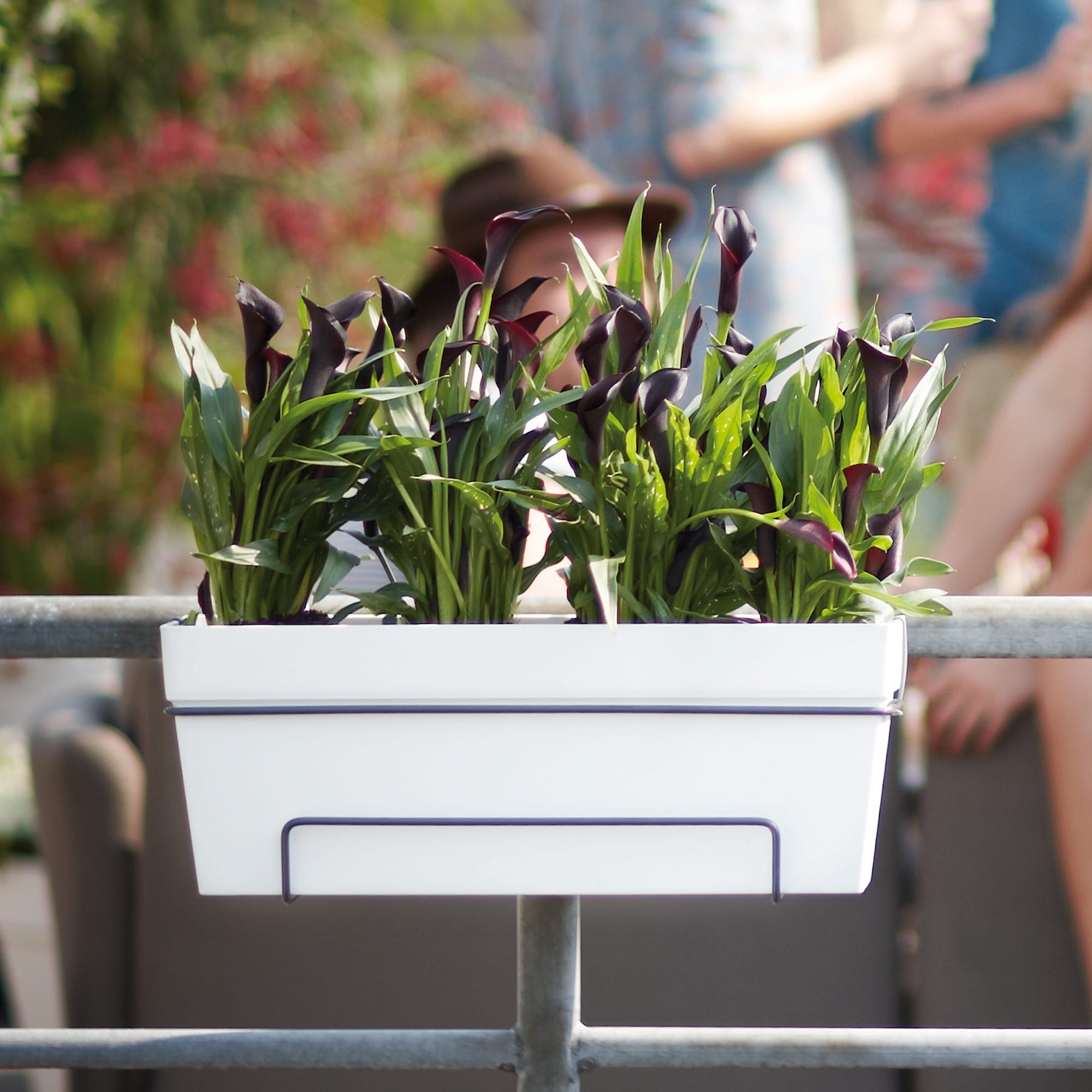 7fc3b18a53962474640114ebe9381a5e