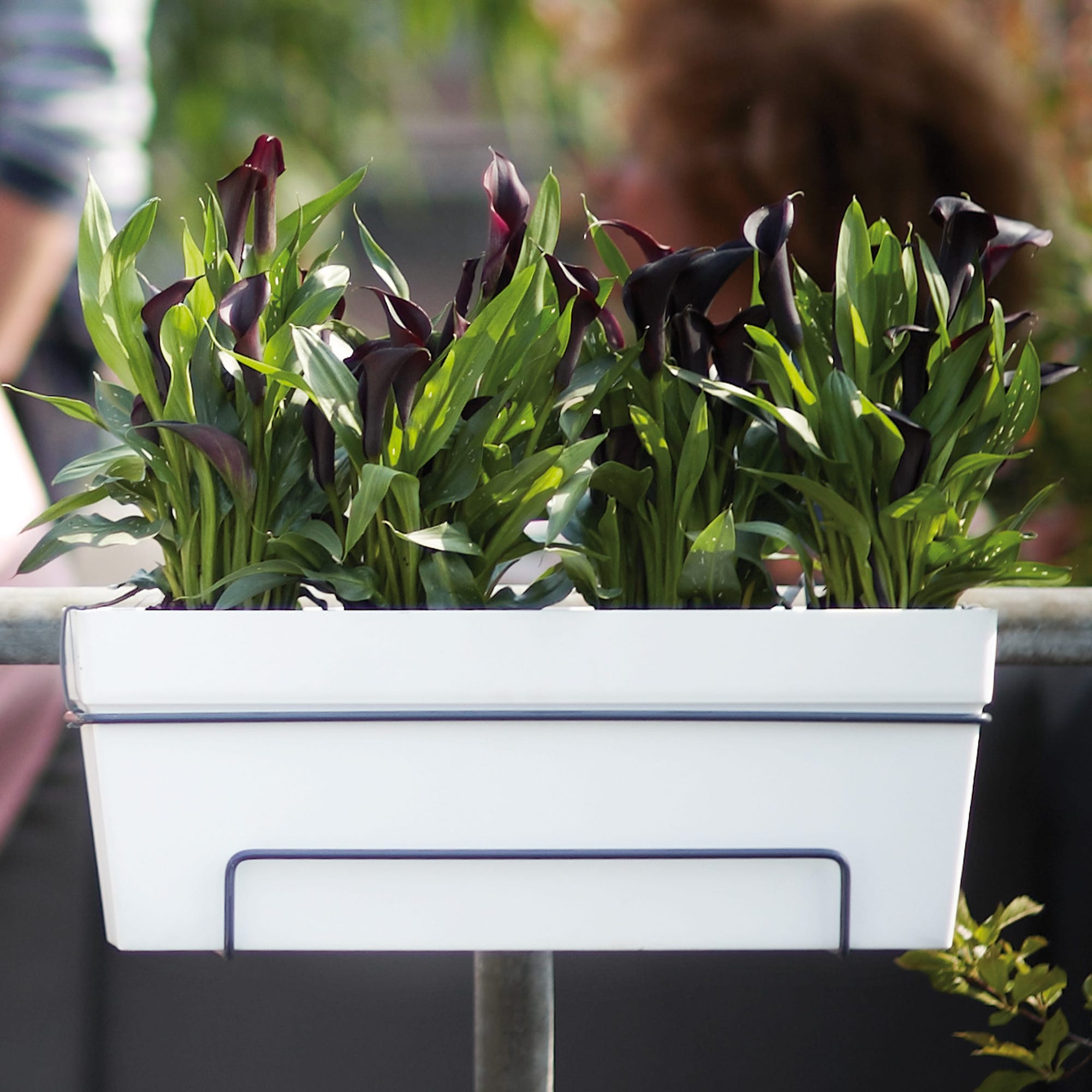 c66f855a5d2fdf7b0e28770d97c8b905