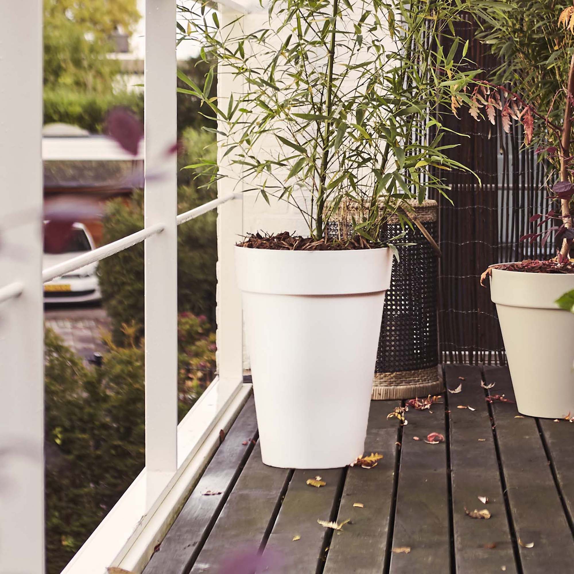 29f2a02348bdbf35c2f664a7d78999f3