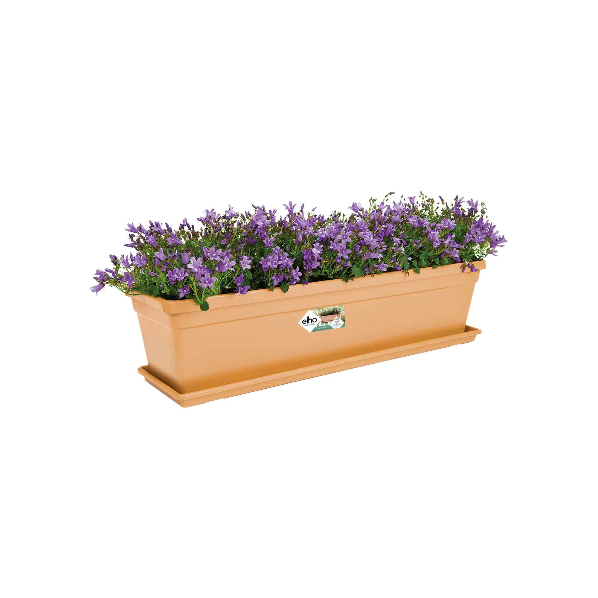 76d91e5ee185d76878ba6ae6e430d344