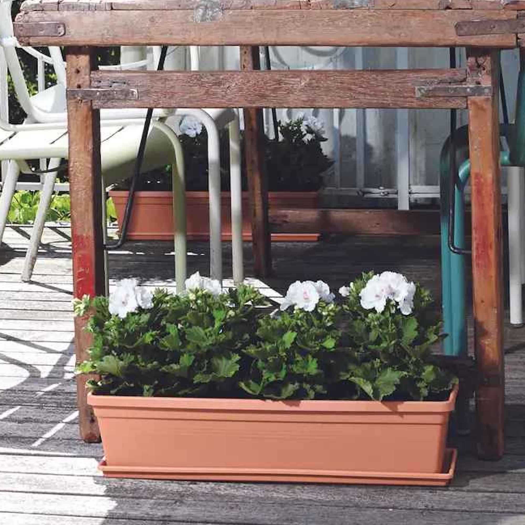 f538a1c3e14b192b39cc7e33fcf4495e