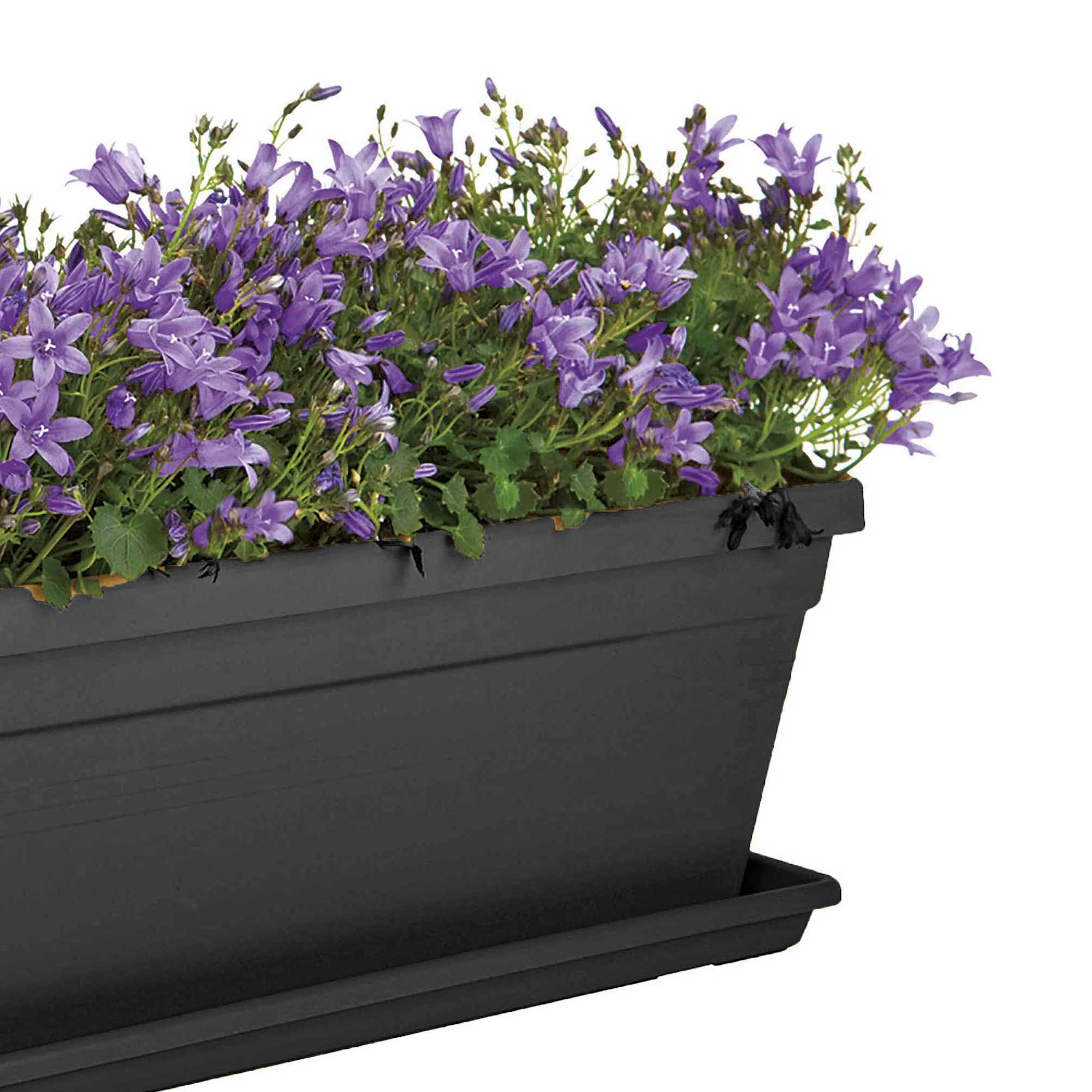 8711904222765_2.jpg 1e59bfea5c12145e7033ba64611f6173