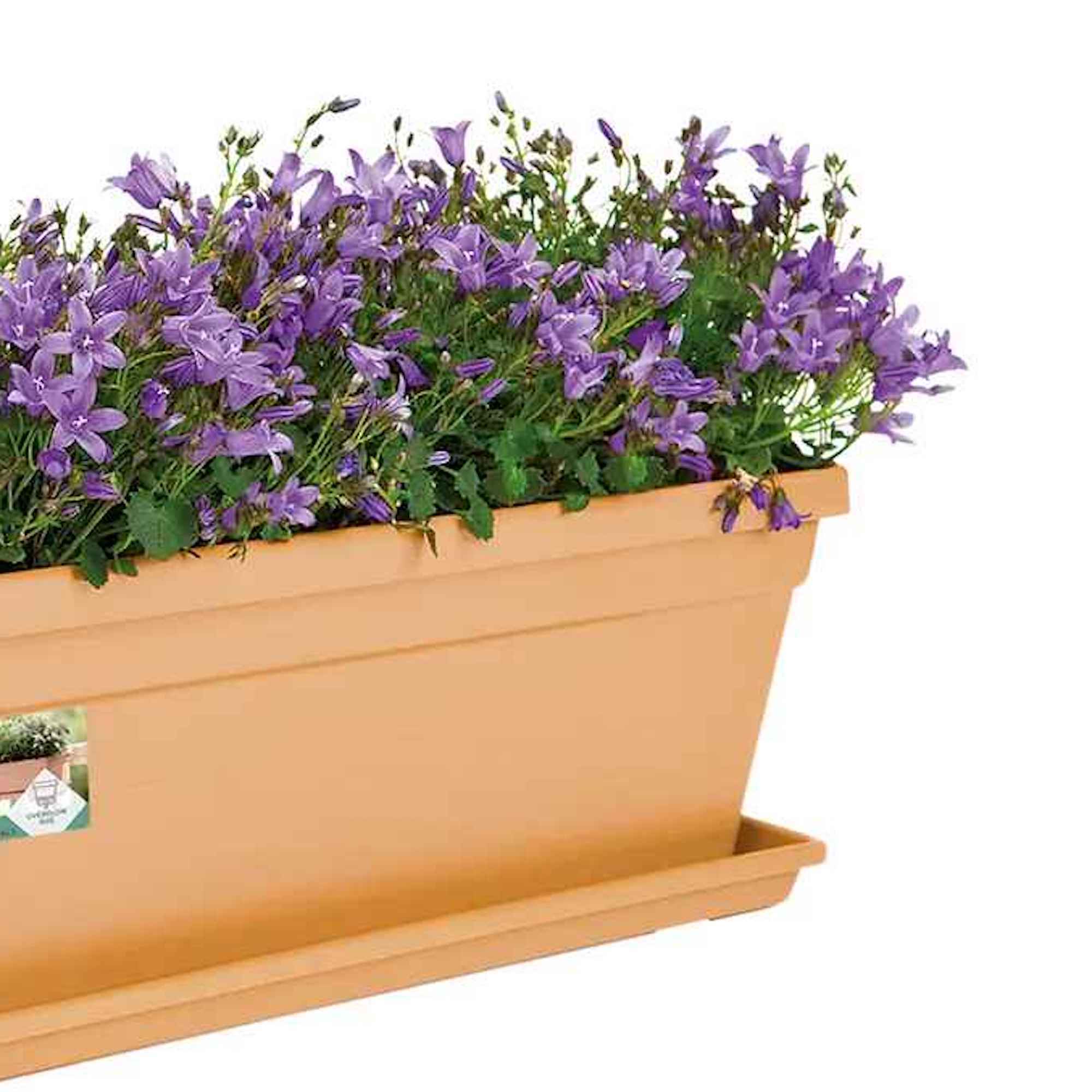 8711904222796_2.jpg cc3acbb21b3e66218dfb2f1f4f0ce51b