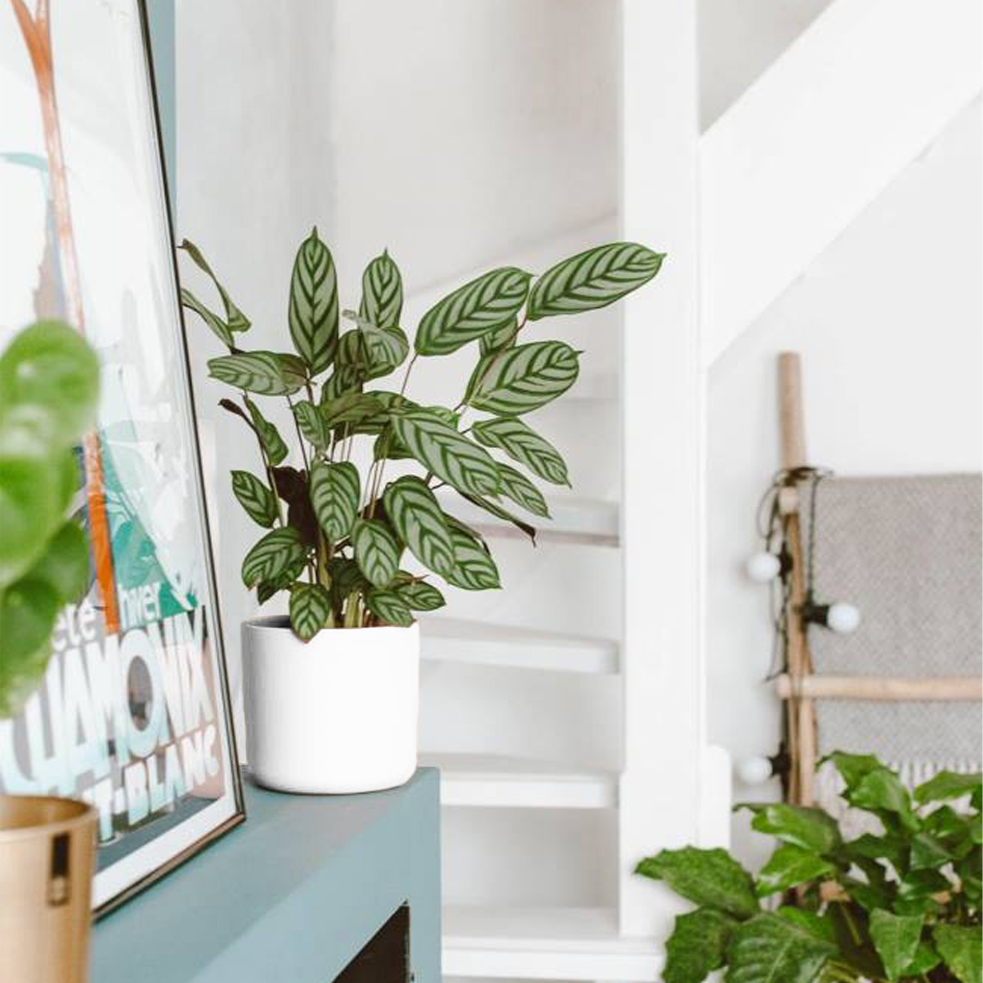 eea98783a3e4530bf5090489c2870323