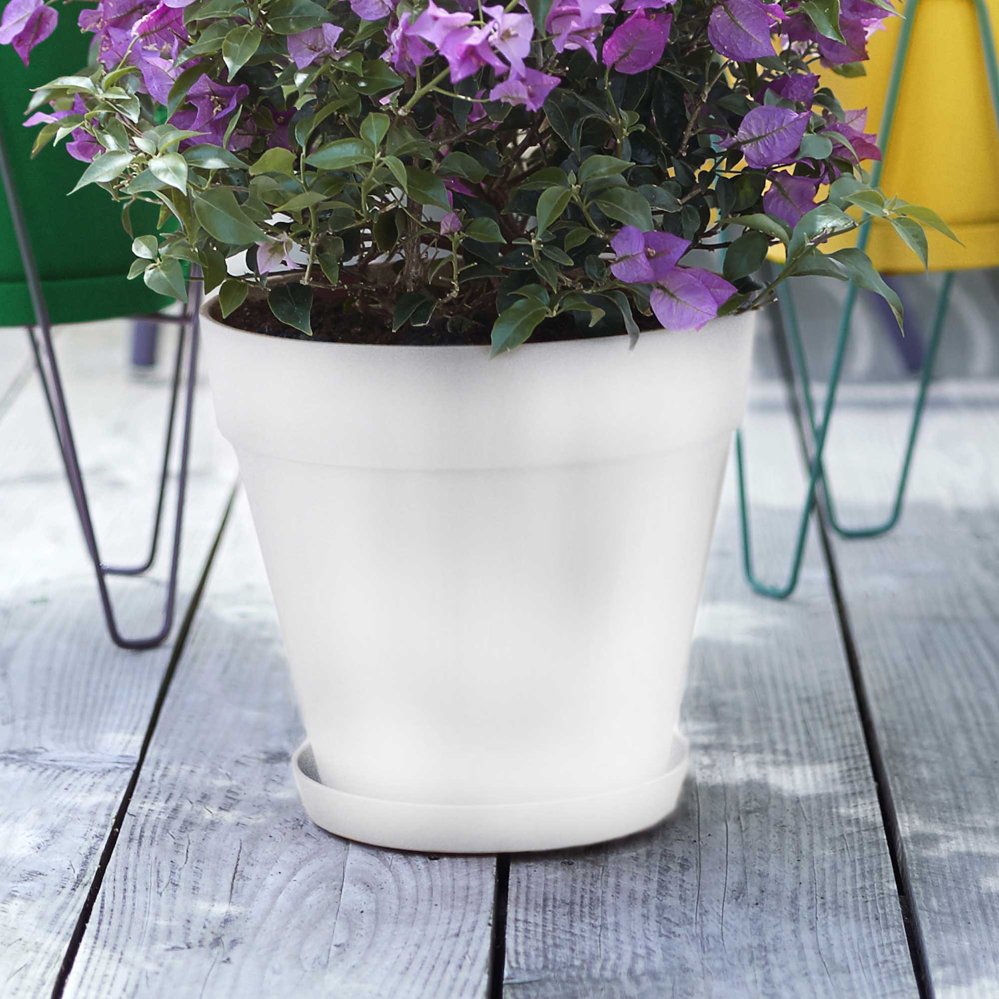 8711904230234_2.jpg 60bbec7b3f8e4a3707e1de9673115084