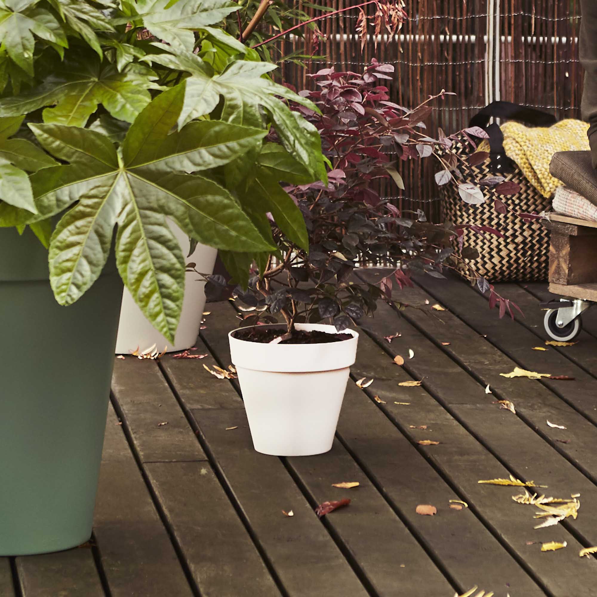 8711904230234_4.jpg 9ccc541c9511702f3f5252c6ee17545c