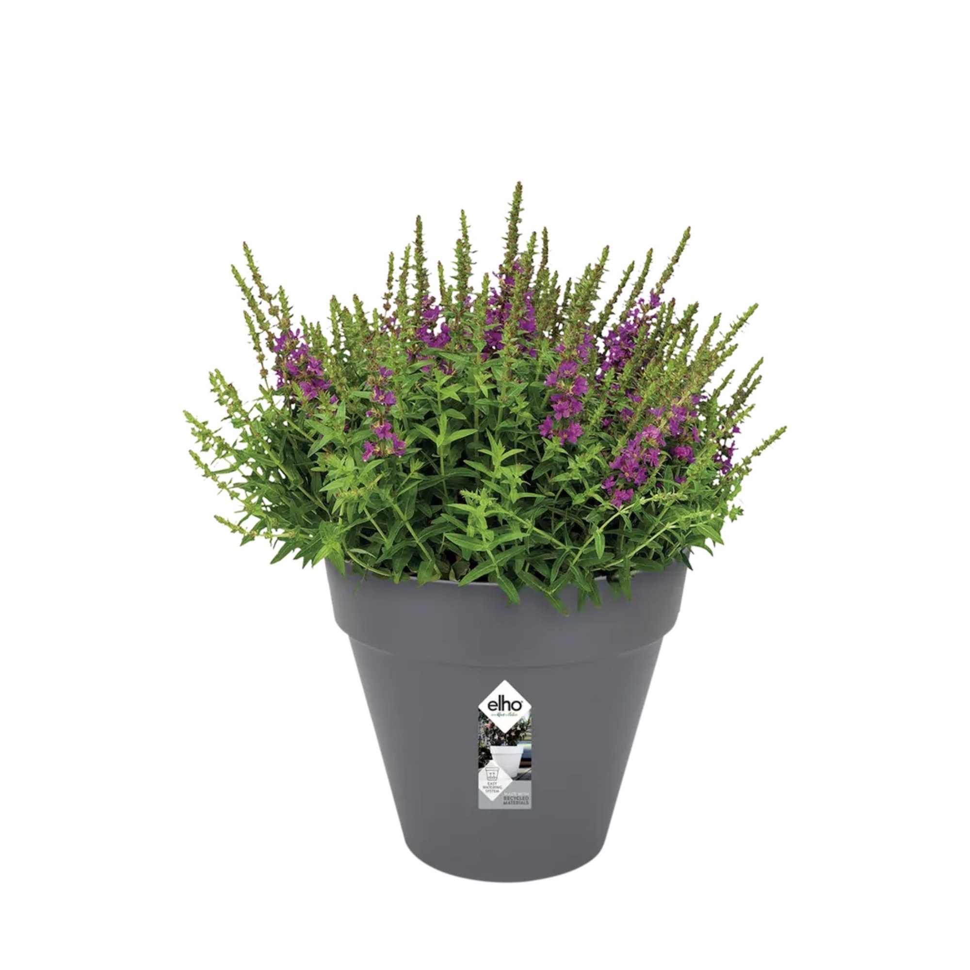 fdd336e95dafe59fd09857774e1e1a21