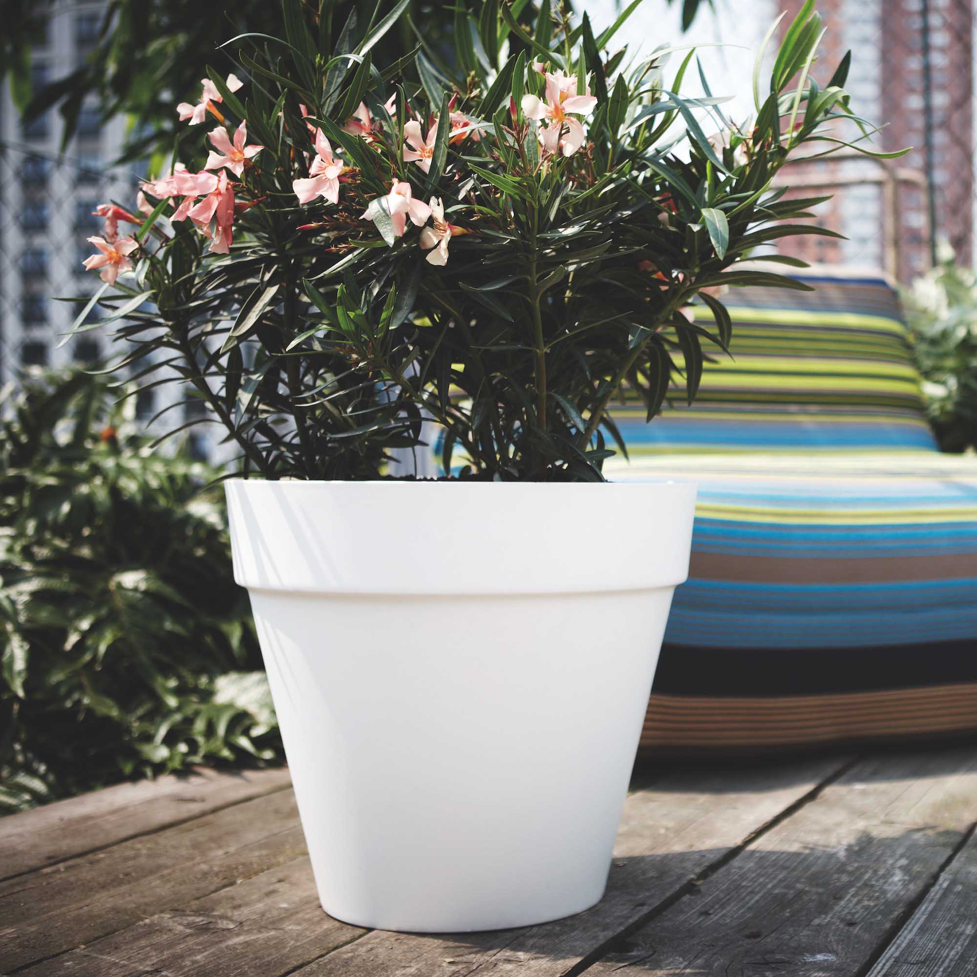 3bb4b7d14de4552d2190ba2a6e95536b