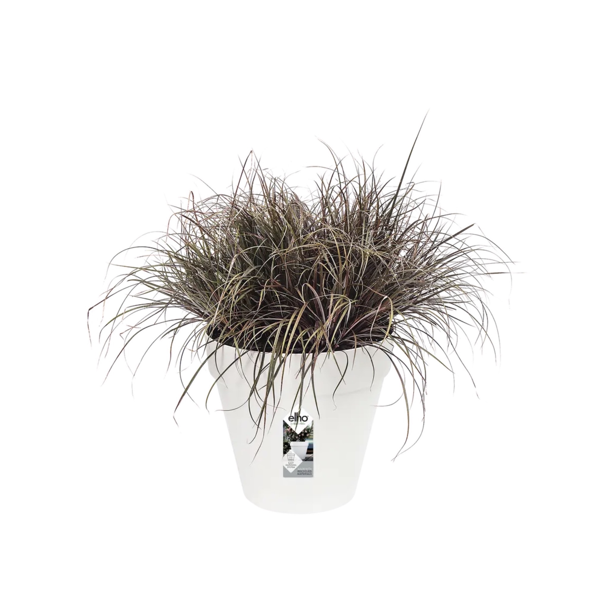 ccd503e2bde433687339566e518ecae7