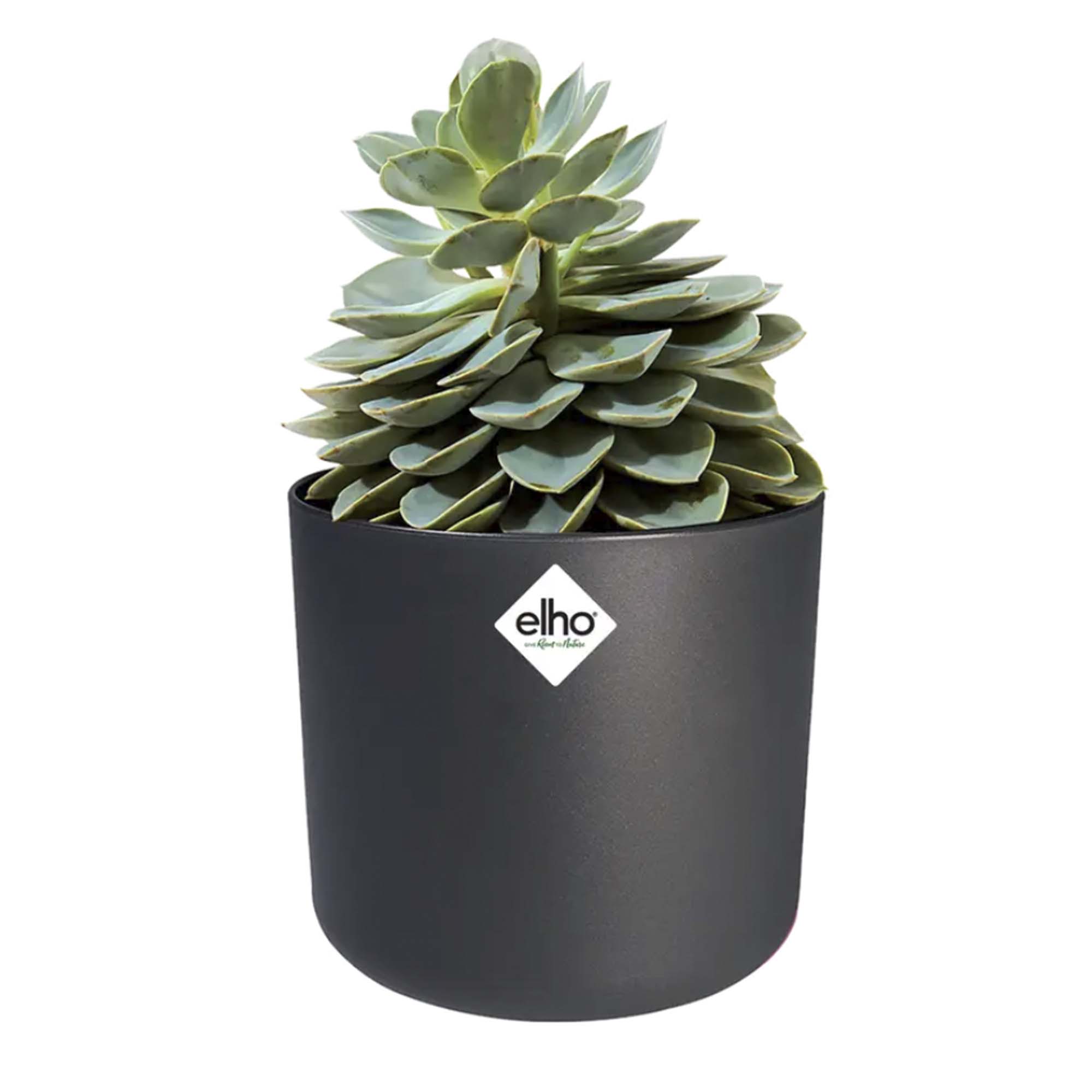 bd95661402538be811732ba22b0216a1