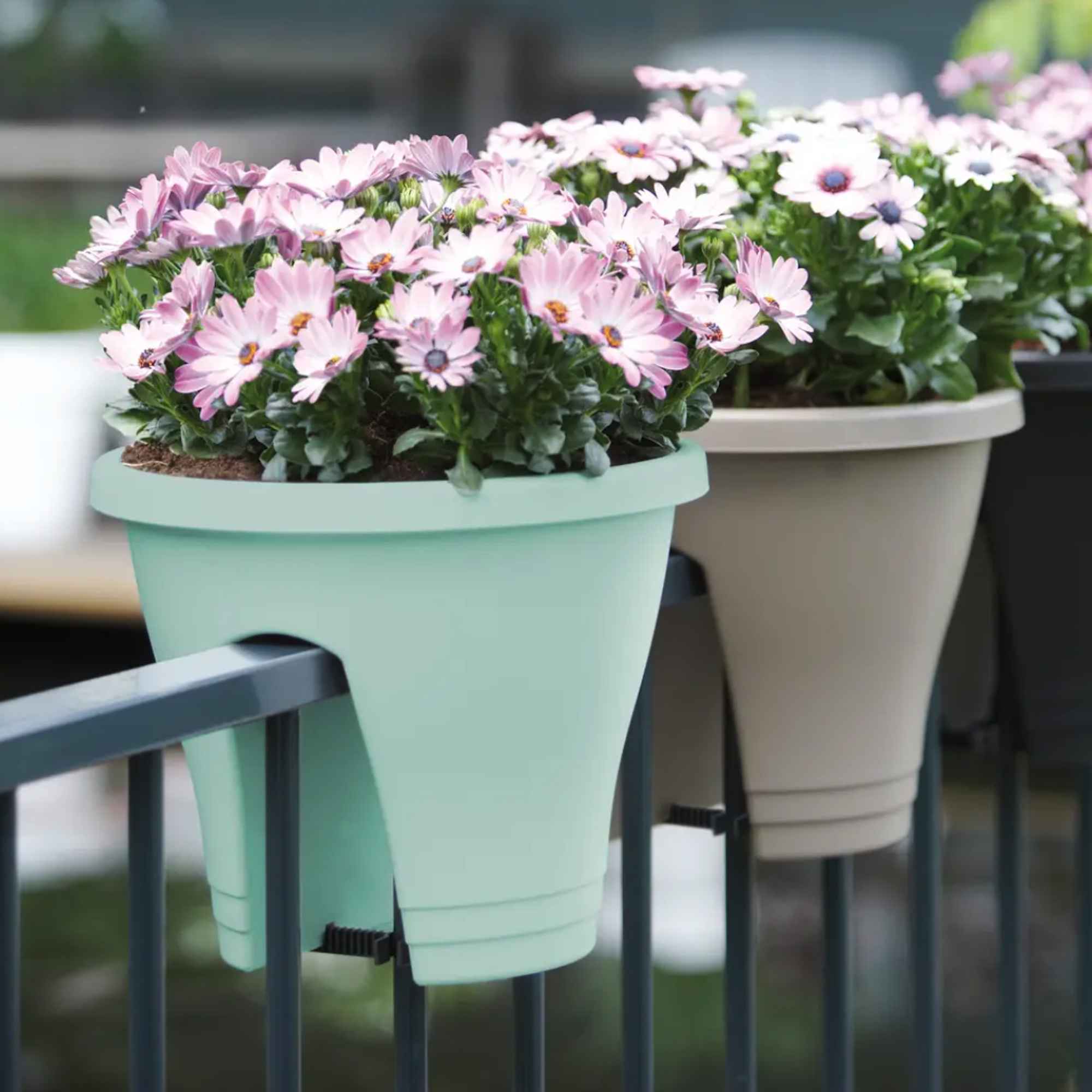 8711904235017_3.jpg 91e28ed254a00f7bb729d4703a3e9233