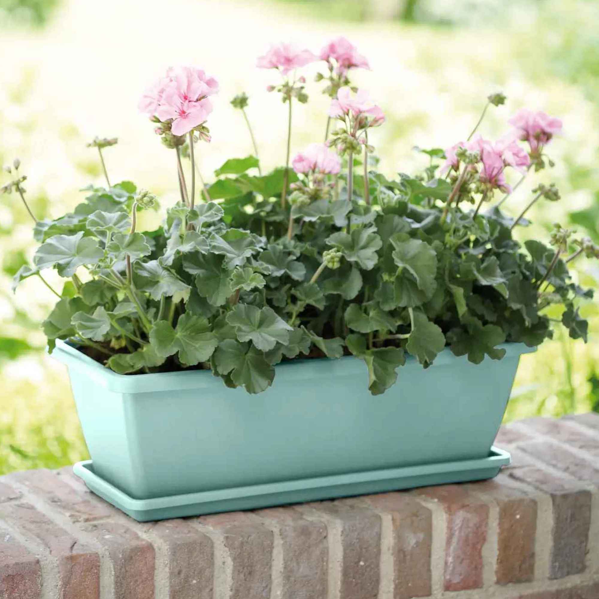 8711904238001_3.jpg ef29d8a0eede415226b13420feaa06a2