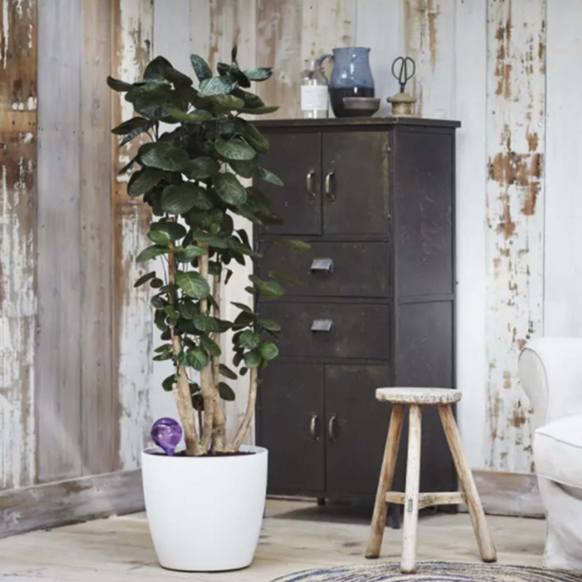 8711904240554_3.jpg 4074013ee5d9d46b149ea424c51fd9cb