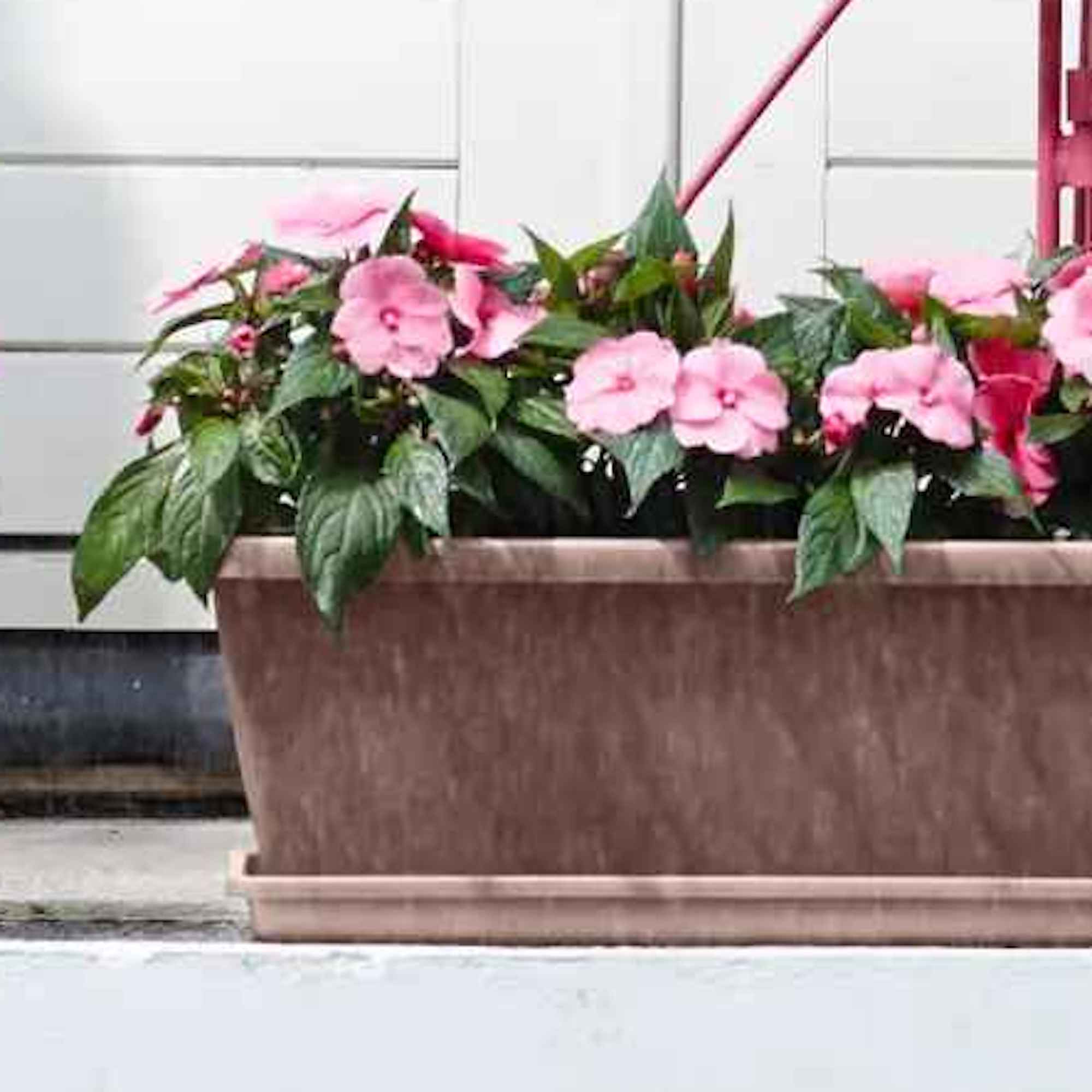 d3e8fc33ae586af268ef7532eb9ac0e4