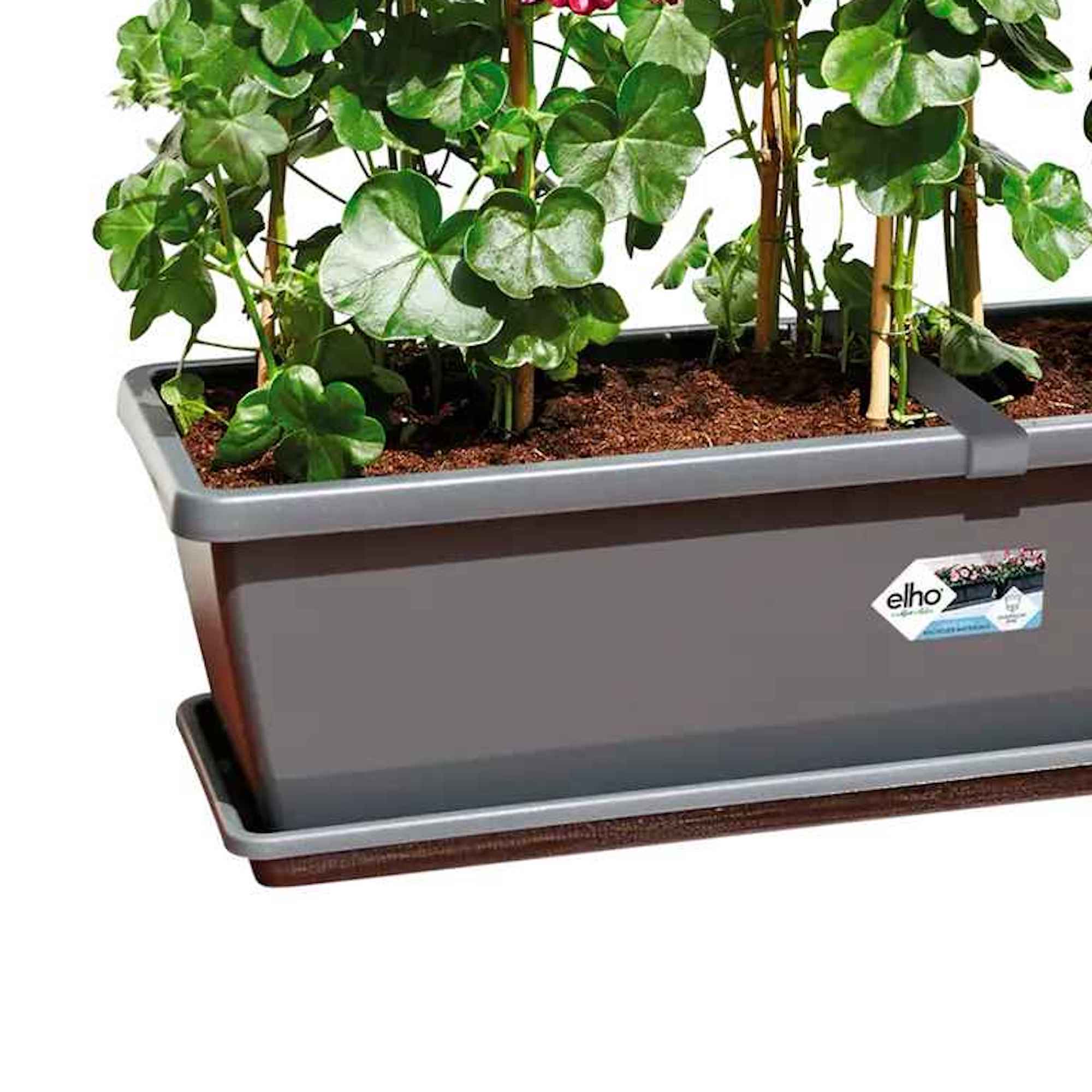 8711904247102_1.jpg 41e16ef9c635ceba29351fc8f294cfd0