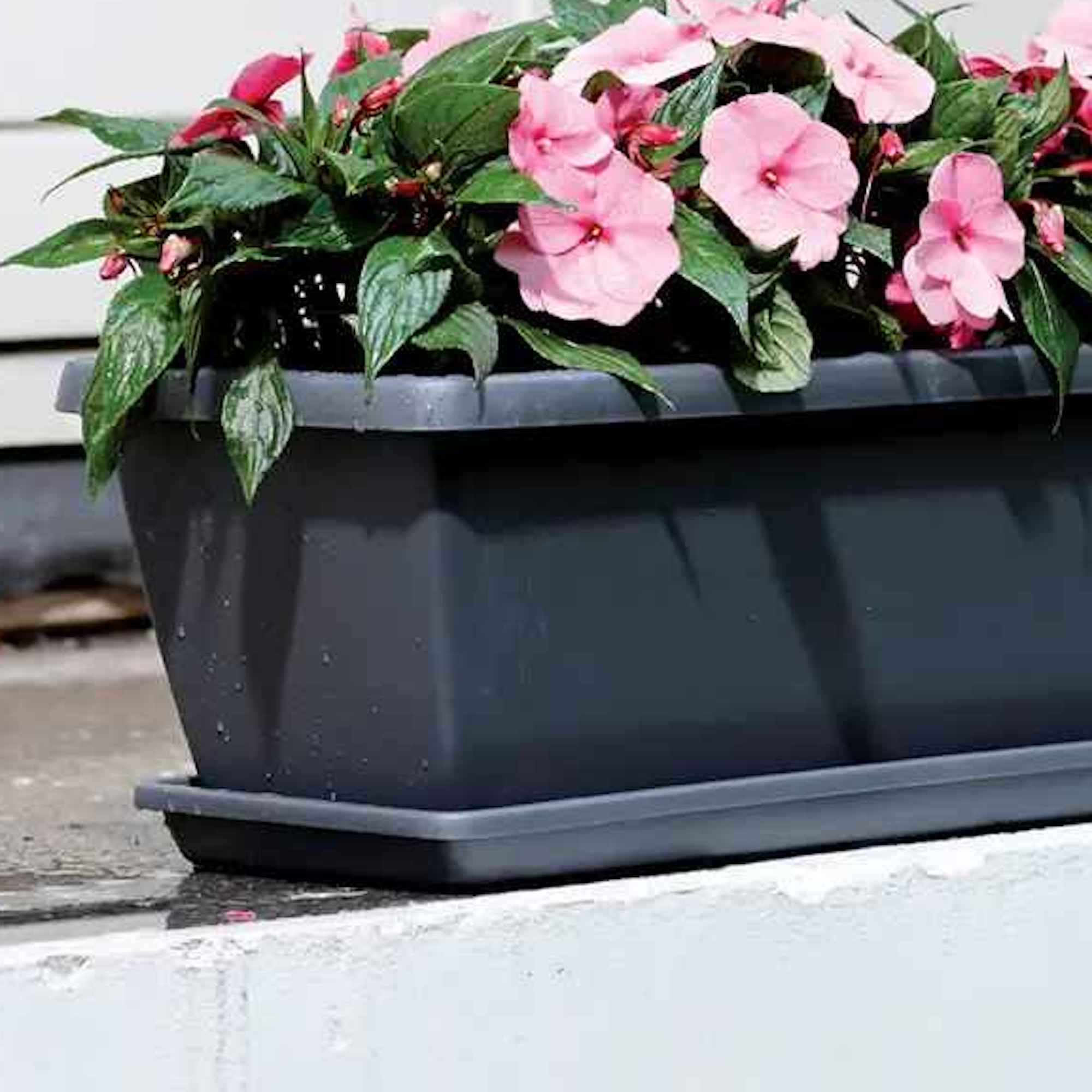 8711904247102_2.jpg 8124b7e0105411b0da22bfe150f2bef5