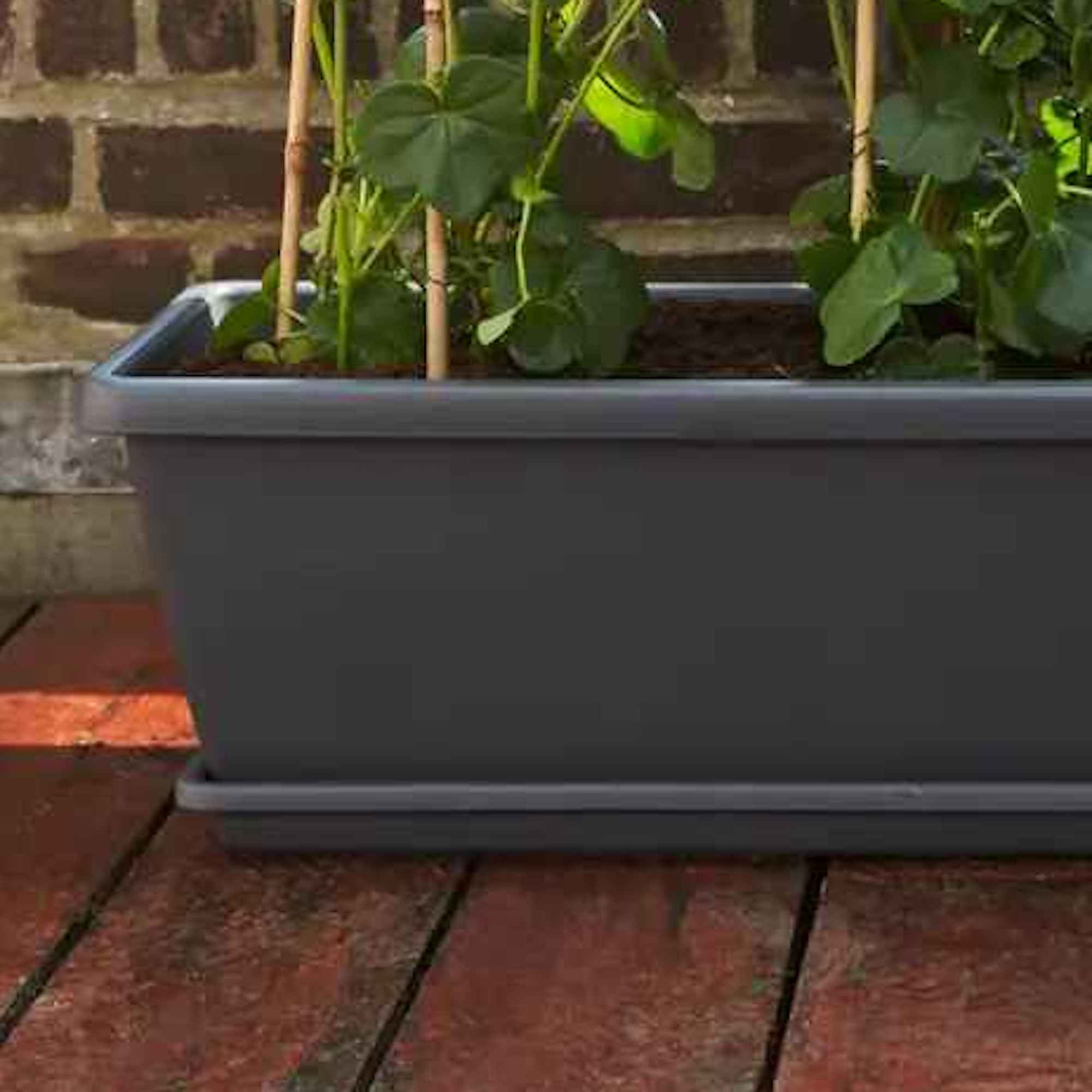 8711904247102_3.jpg f2435eea59601de3d3318ba35f3541fb