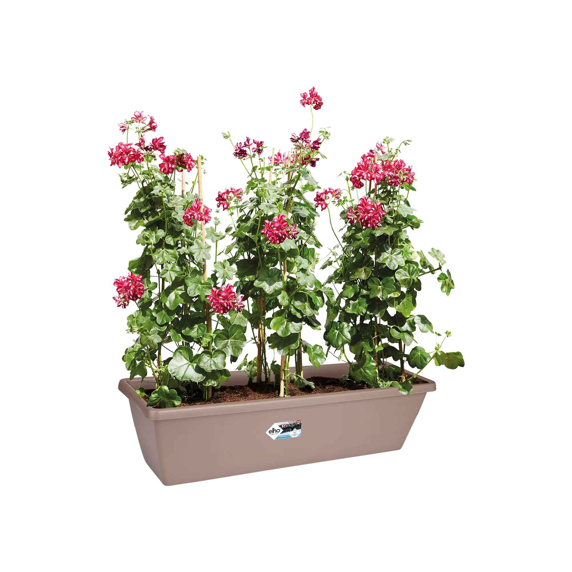 8711904247256_1.jpg c9cb045eb771ea9b545535cedfb99230