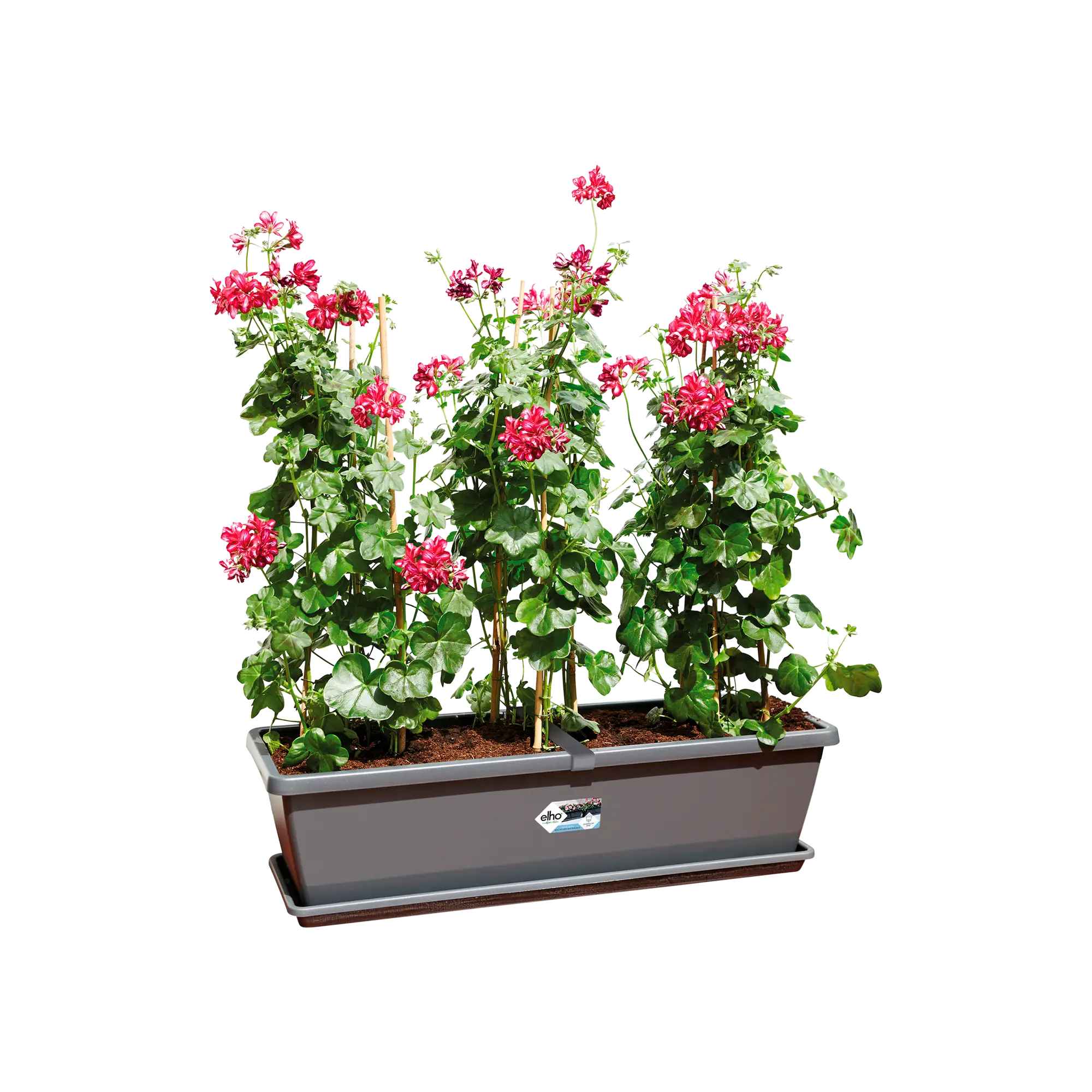 8711904247287_1.jpg 5479a0dd10e7514dbc68ef045c1e1df7