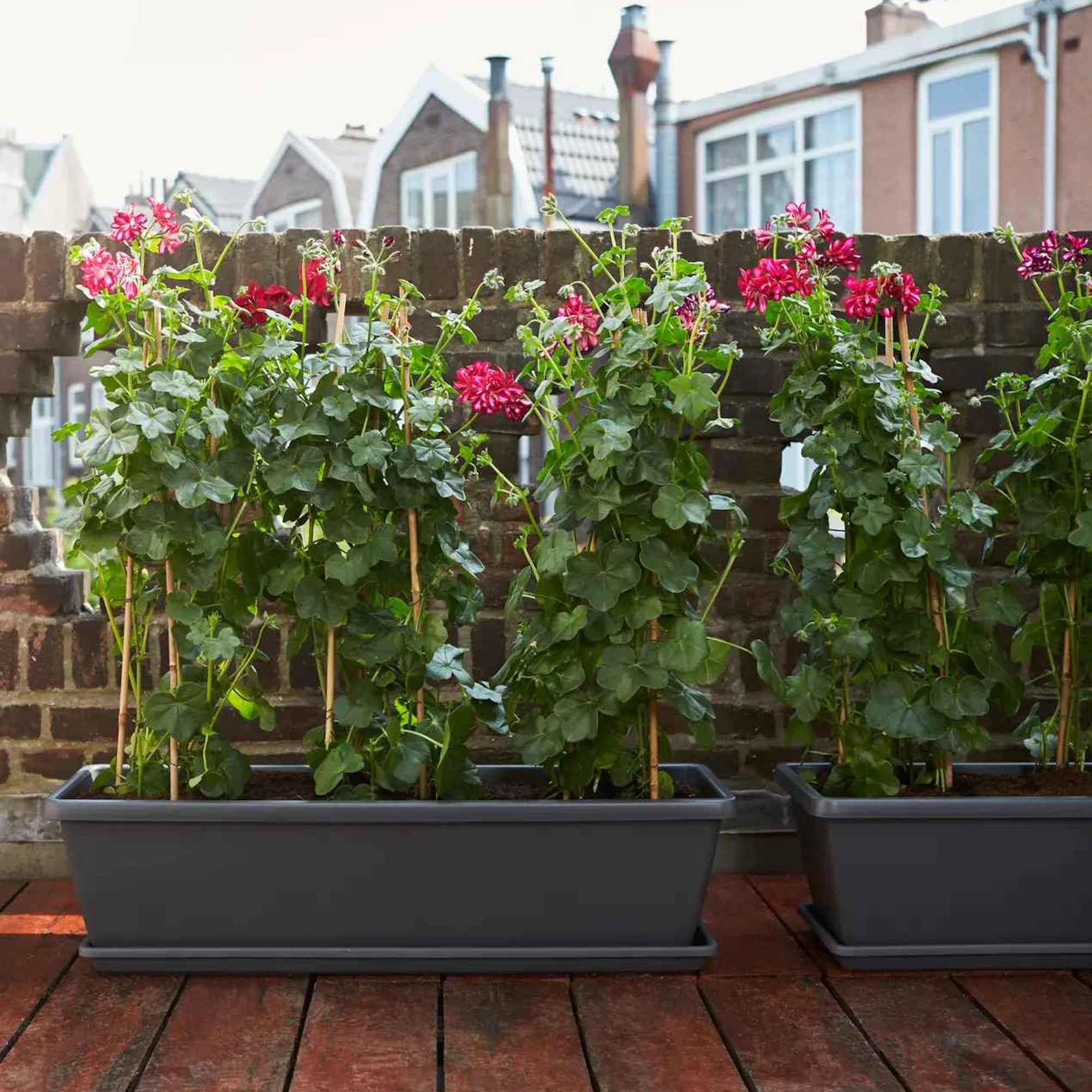 8711904247287_4.jpg 8ae442b98e4f4630973efca86e06d857