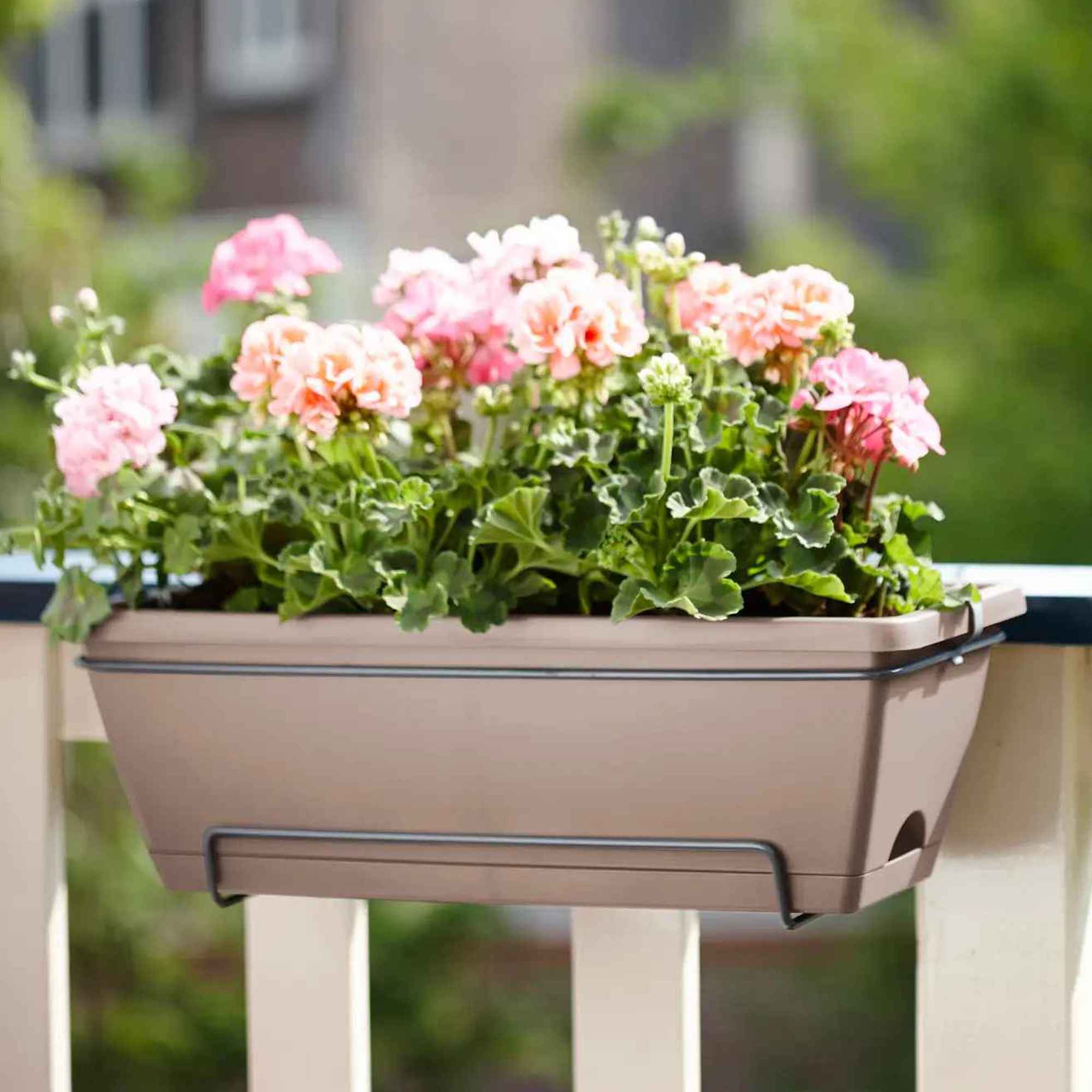 8711904249007_1.jpg 7e19b884c8caaa4ca6cafc51c4d92b22