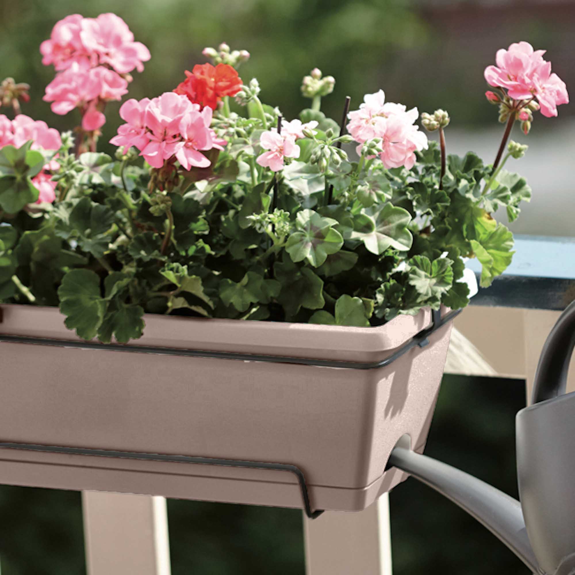 8711904249007_3.jpg 9797bf3e66c0cc3bca7d04618e63218a