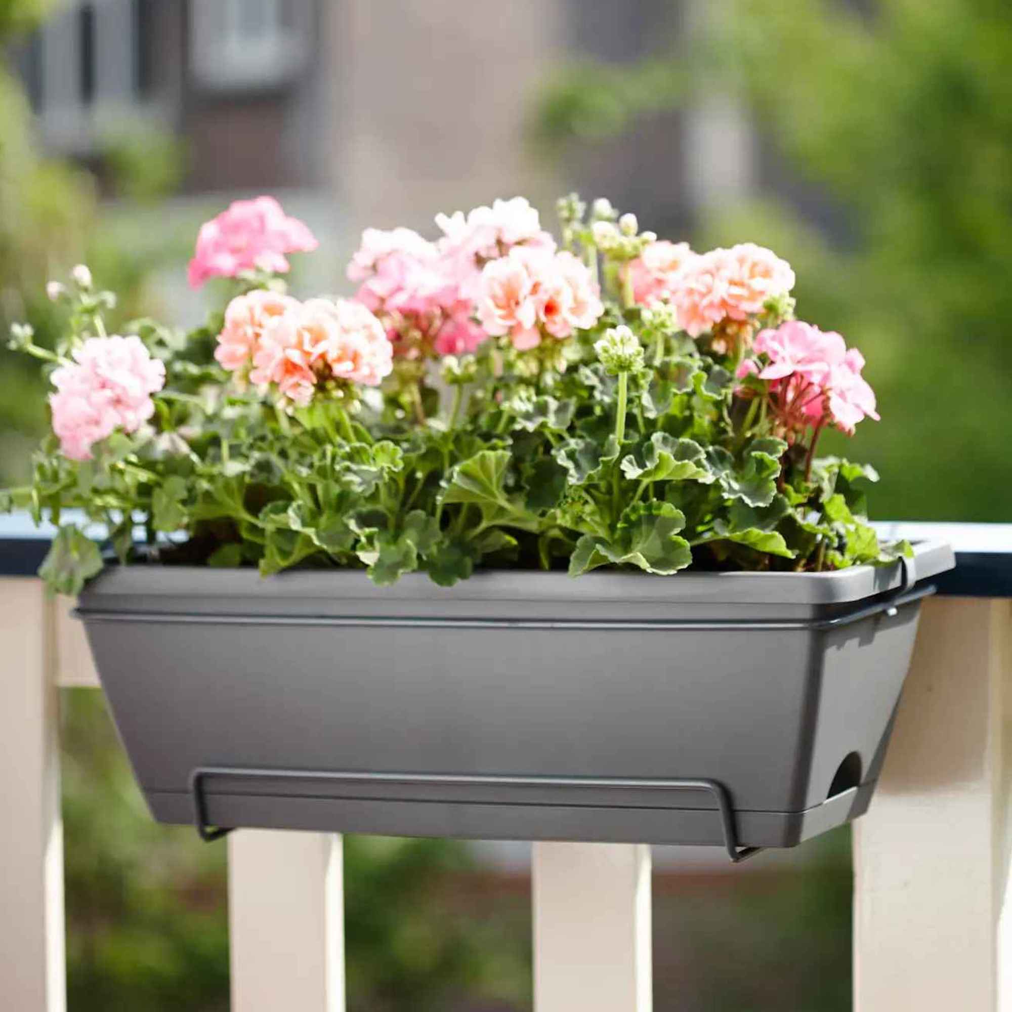 8711904249038_2.jpg f263ece4040d0d8f98ac143765c8e530