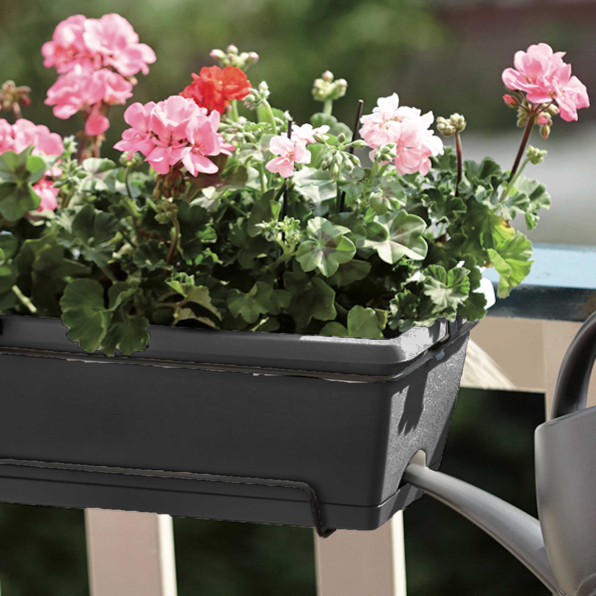 8711904249038_4.jpg 6a7c2841478f32de3924187899573dce