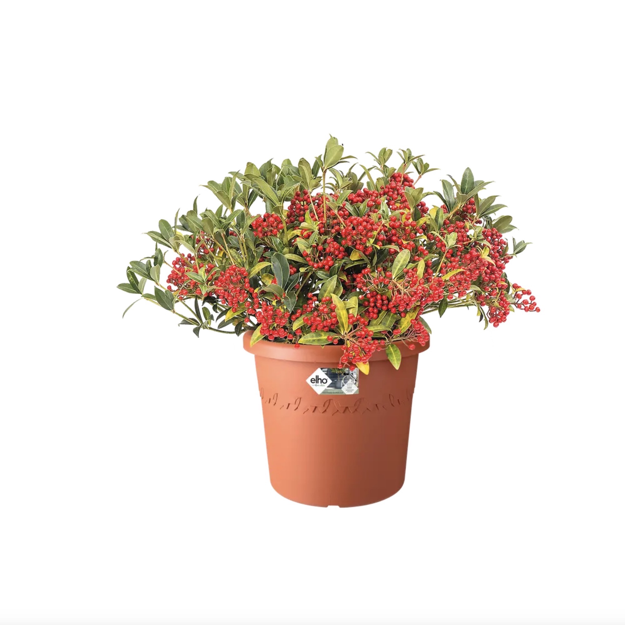 Screenshot bd36011942335b43e59f23c858c6601d