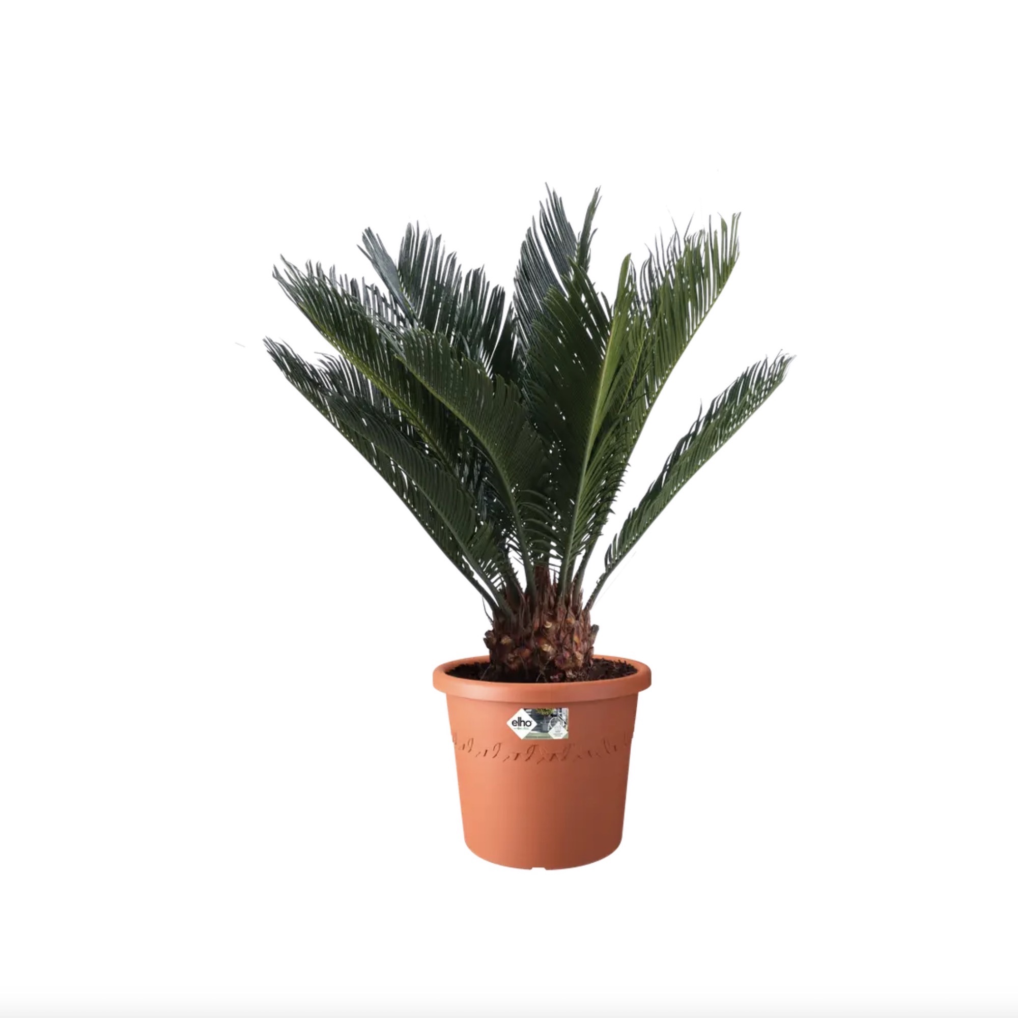 Screenshot c41ea210e97a7dcc7586afd177c33313