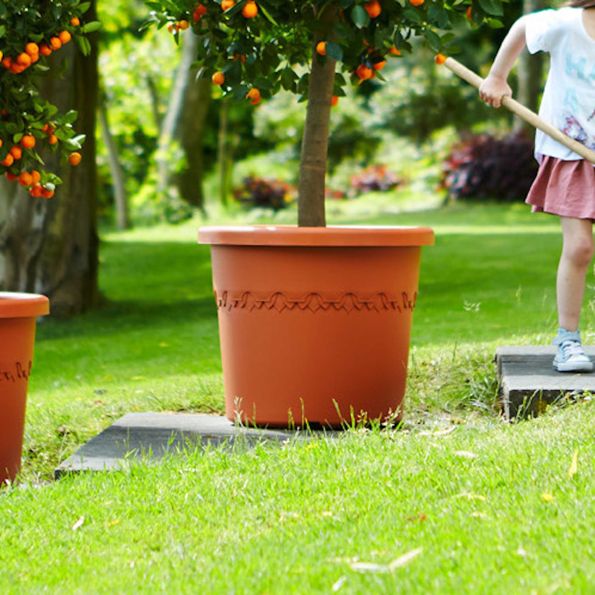 8711904250393_4.jpg 3527d60b44cc6dc39dc0adce12c01e52