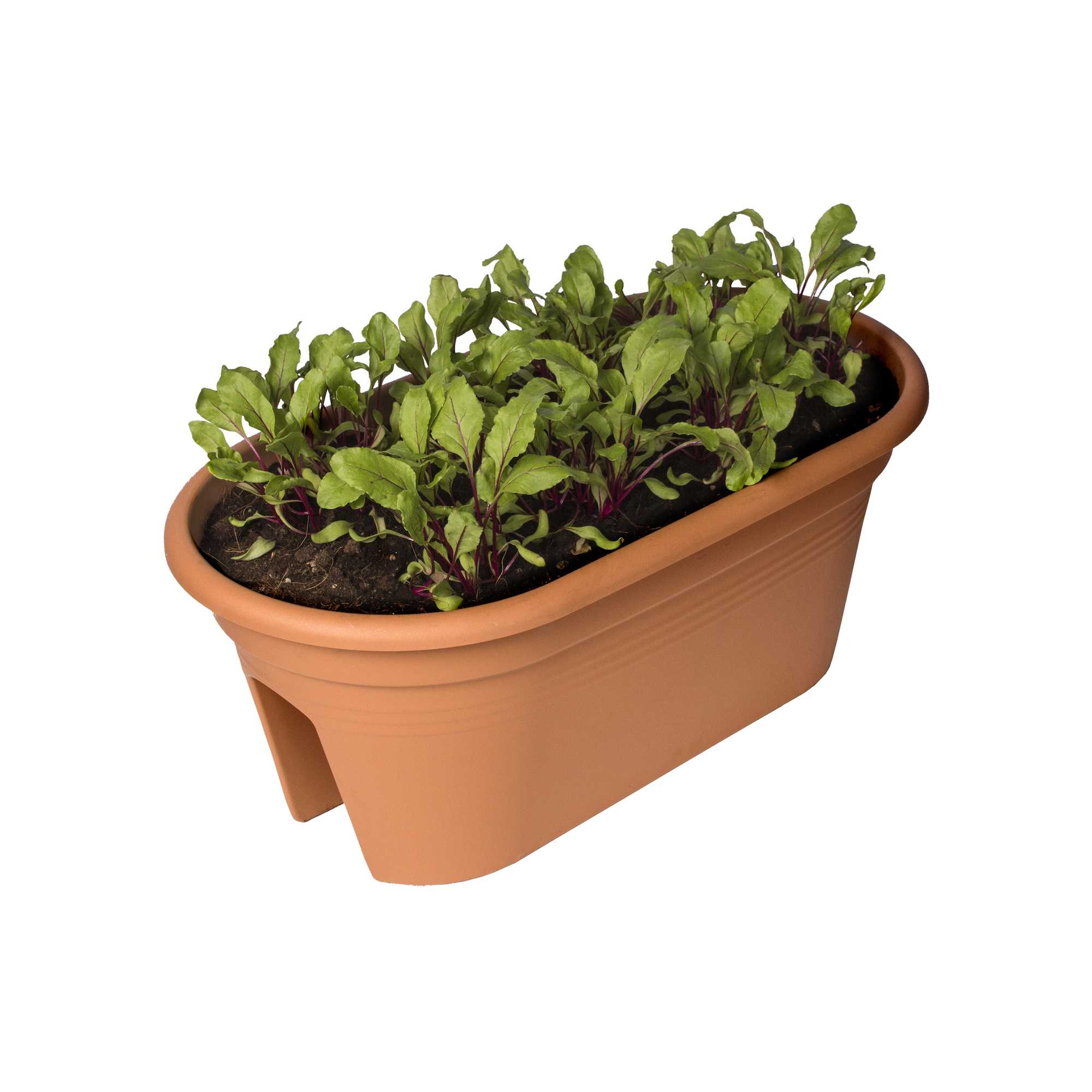 8711904265687_2.jpg f699a16e95bbbade2b56807954dbba0a