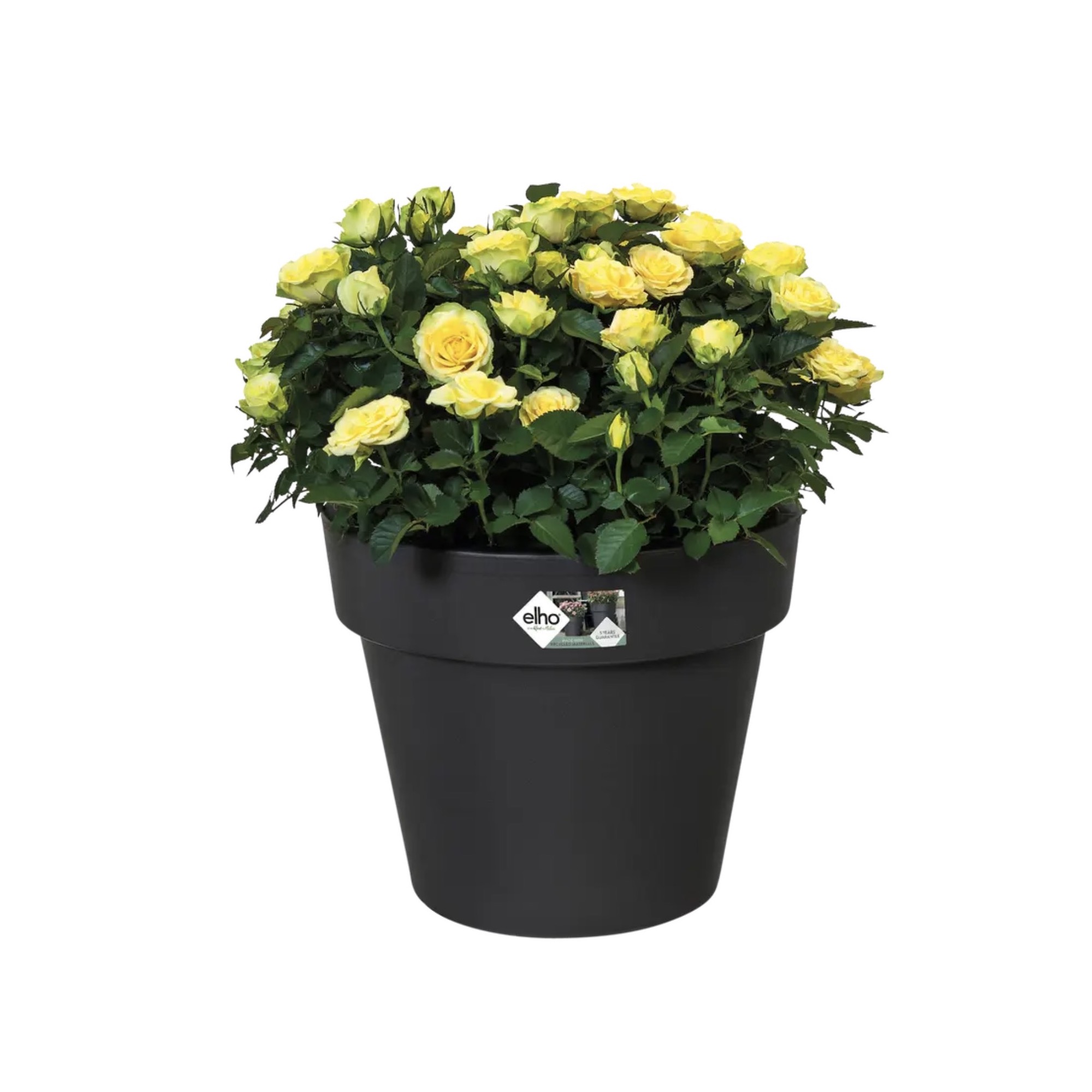 Screenshot e26bbdfa453eedf52e17687a730b90c6