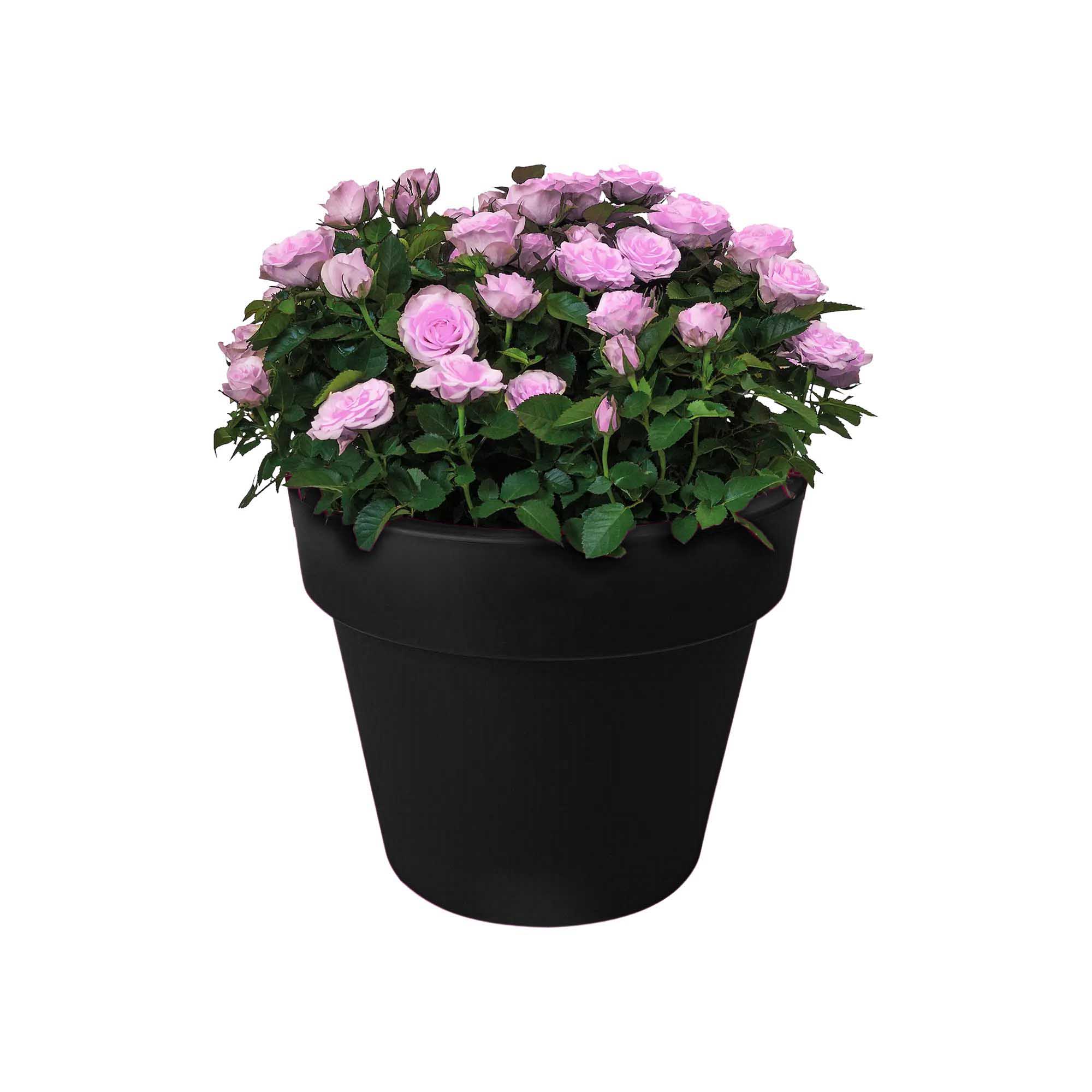 8711904267841_4.jpg 658153051d14f7dabc01d3df7acd7eb9