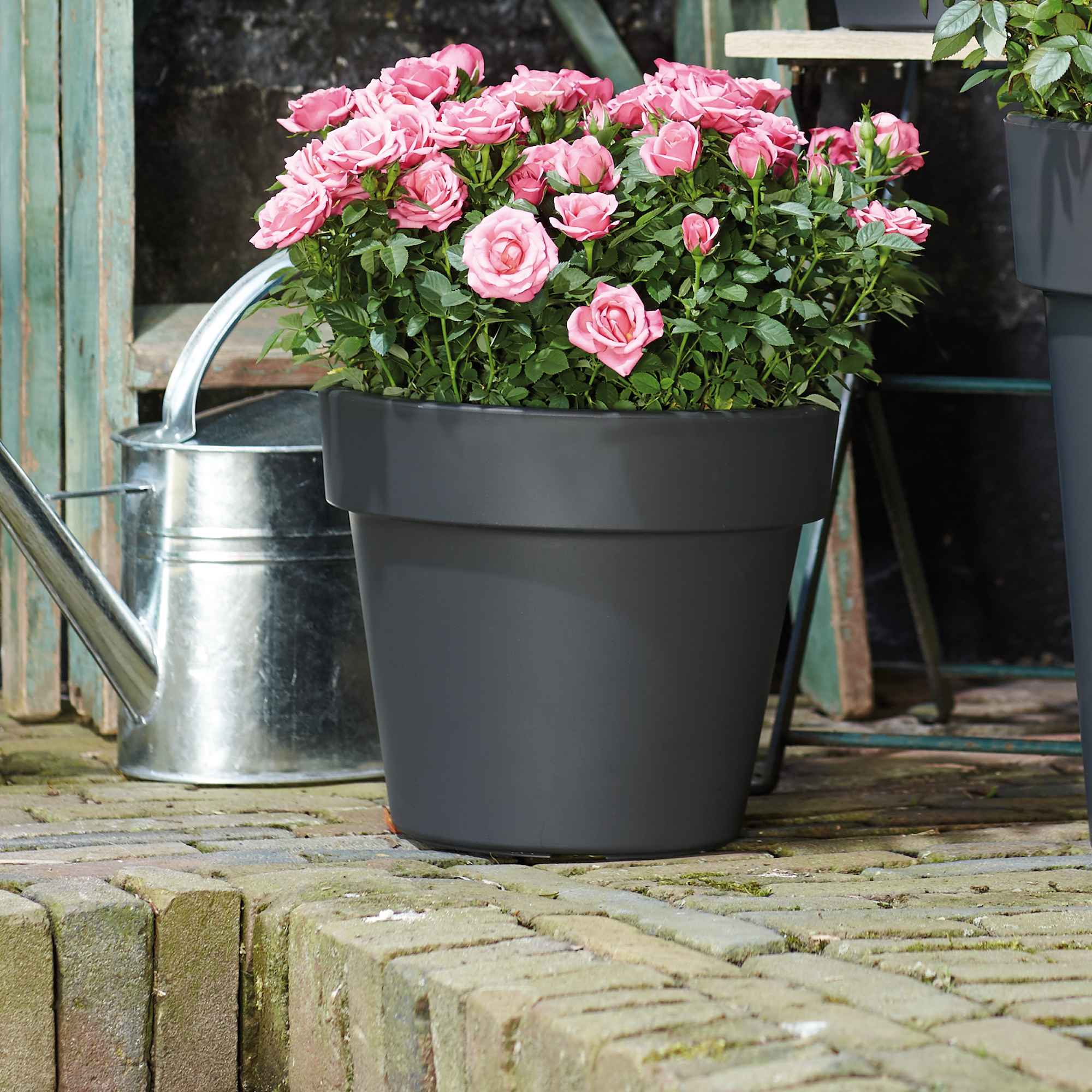 a8c01afe215f6a2e486e0e5e903b7c58