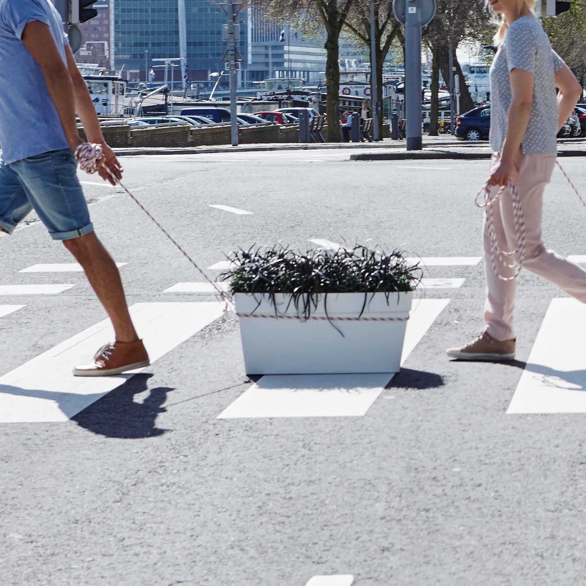 8711904272340_4.jpg 811be1cdfbead9a5f27beeeaadfa3ac4