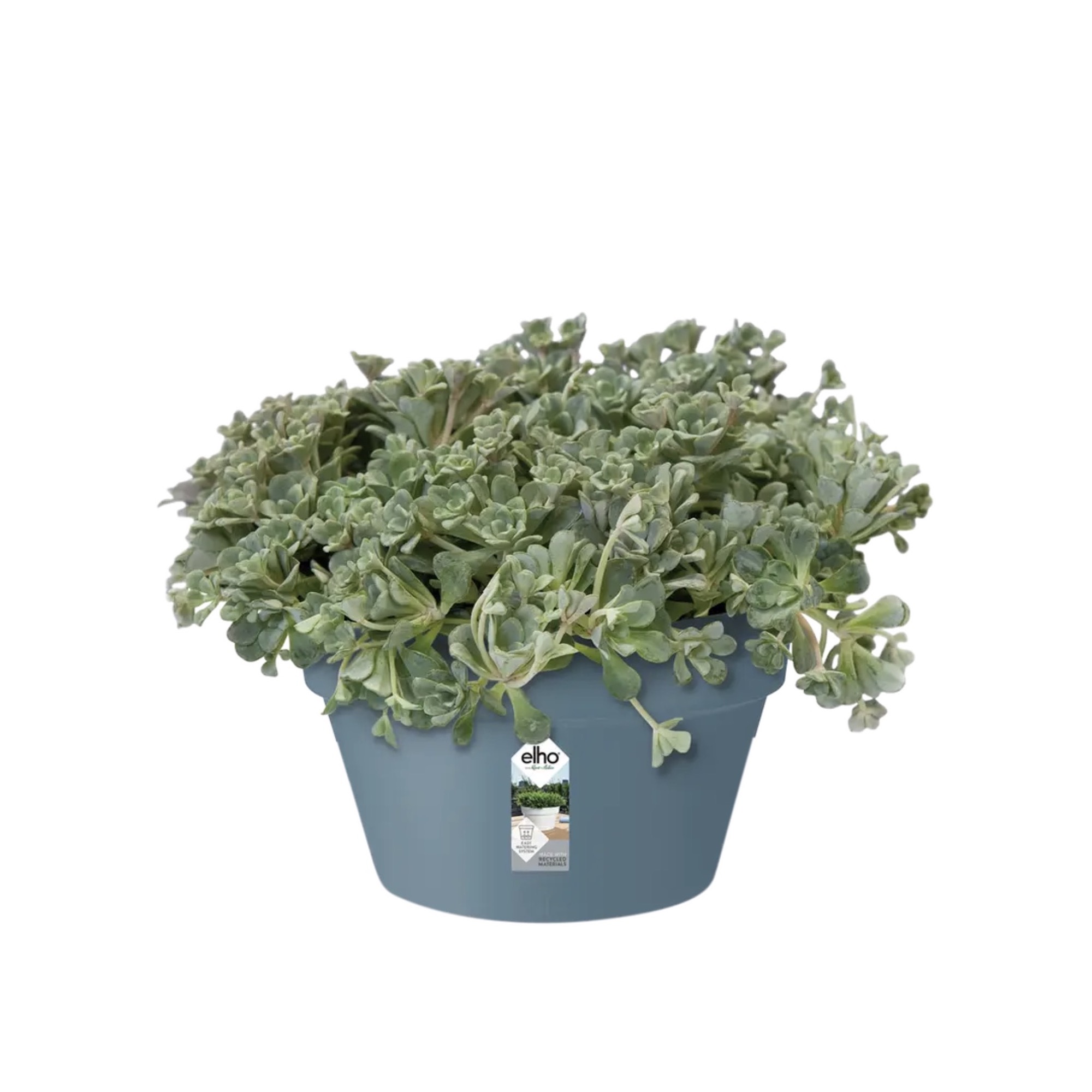 Screenshot 1168e74fbb07356b6867accc6caf75cc