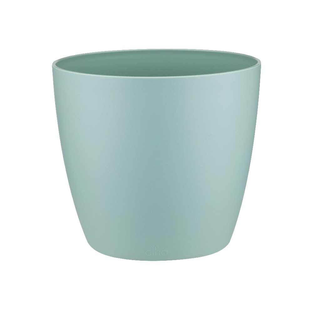 brussels round 14cm mint