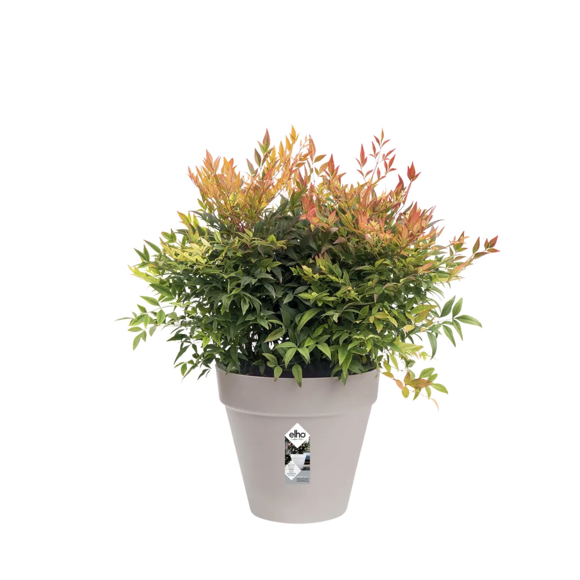 9de0759b8bc5cff7233a3d49e8265882