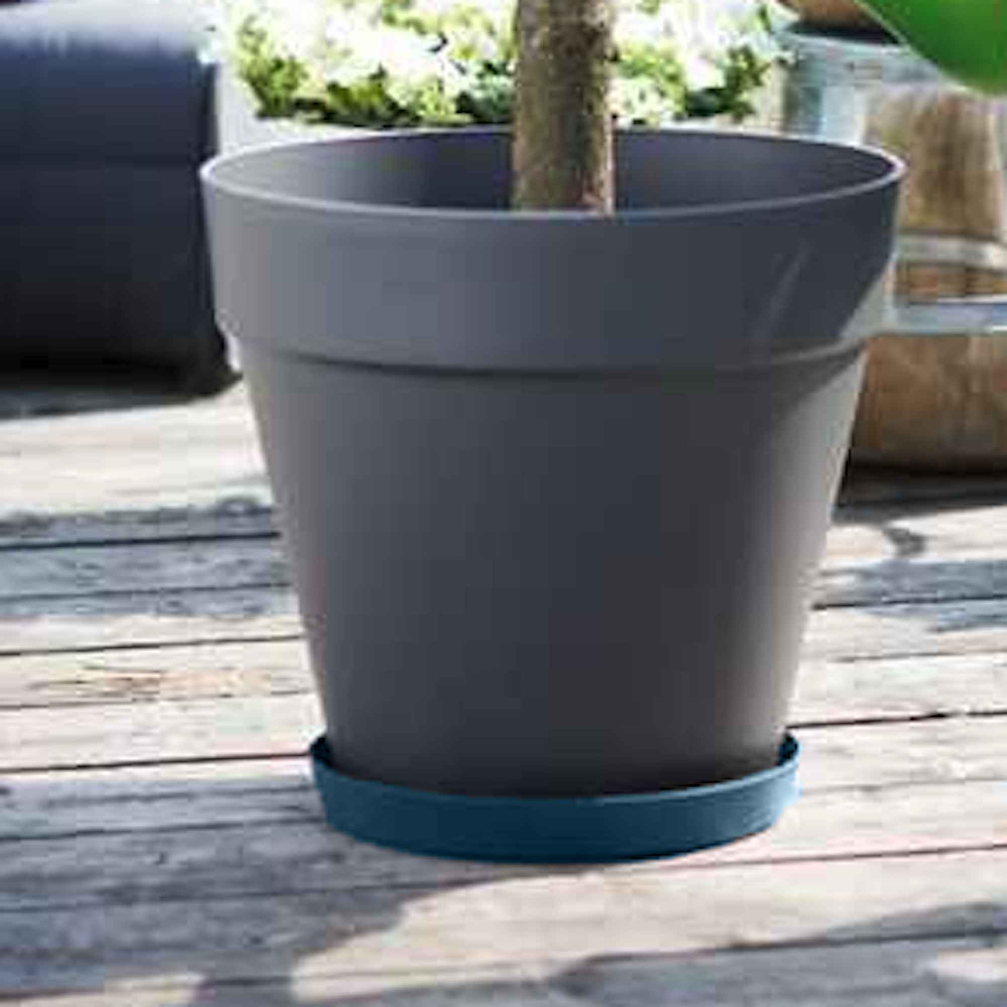 8711904281700_2.jpg 3616ec08449d465d6202ebcc67d7e03d