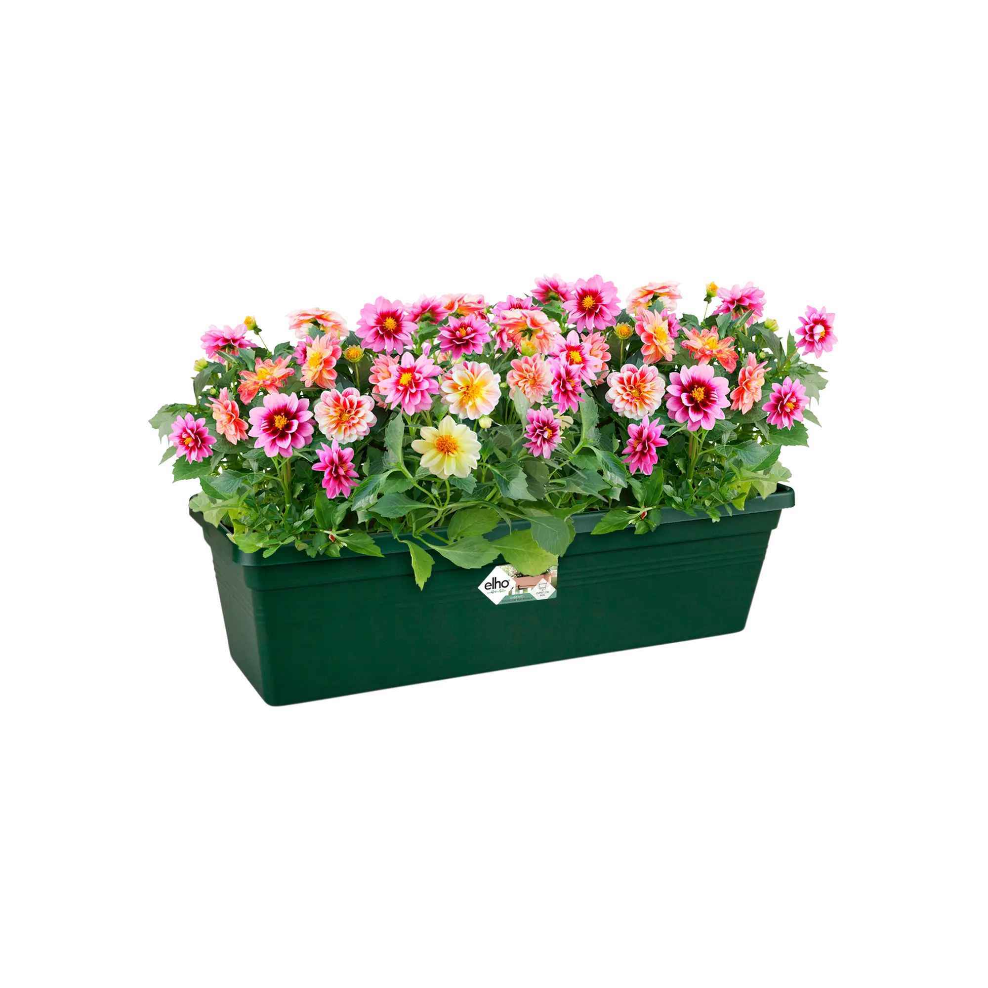 8711904298807_3.jpg ed51356c9db0b1b32914b5174fa11932