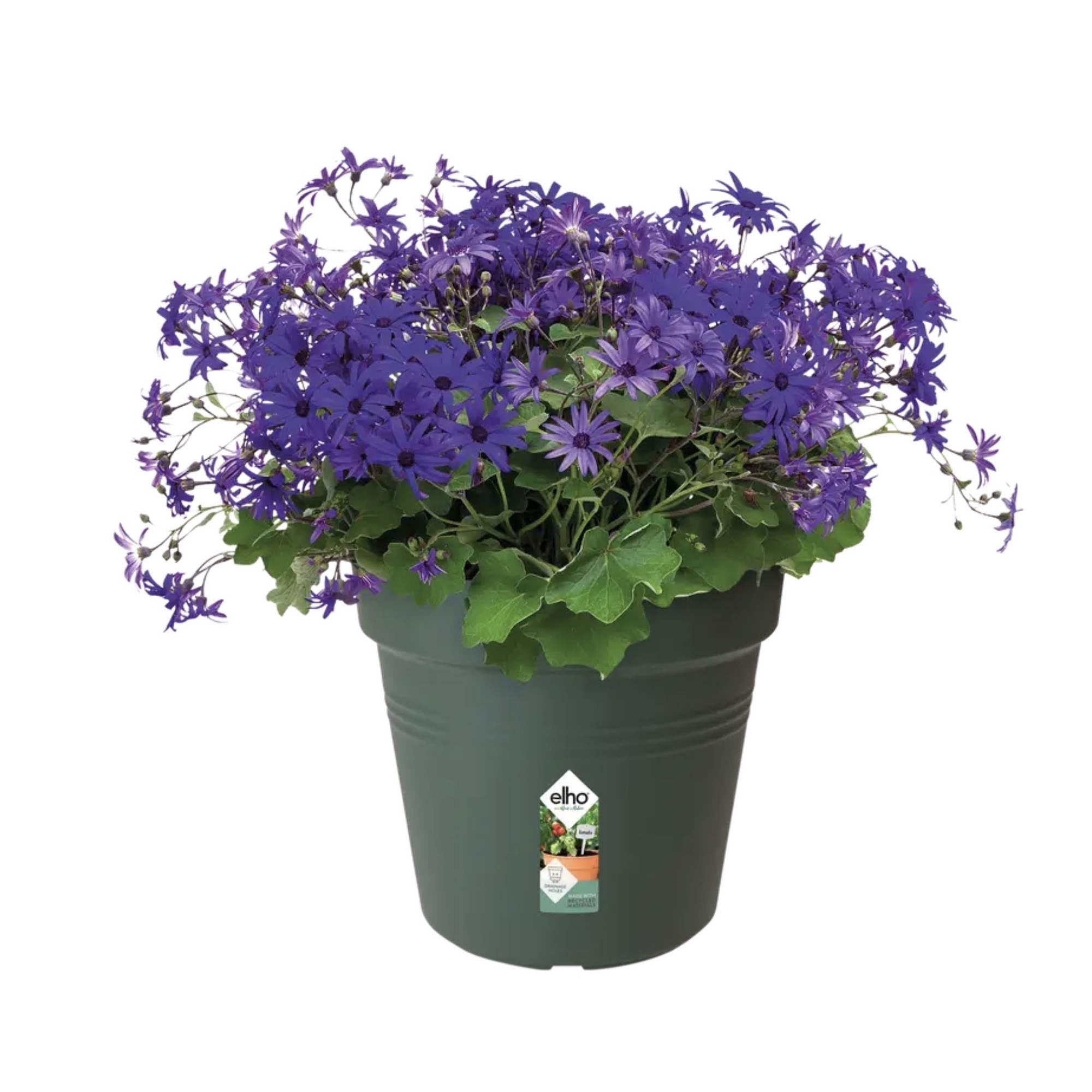 444a3cde76e734a6e204c174b1a001f5