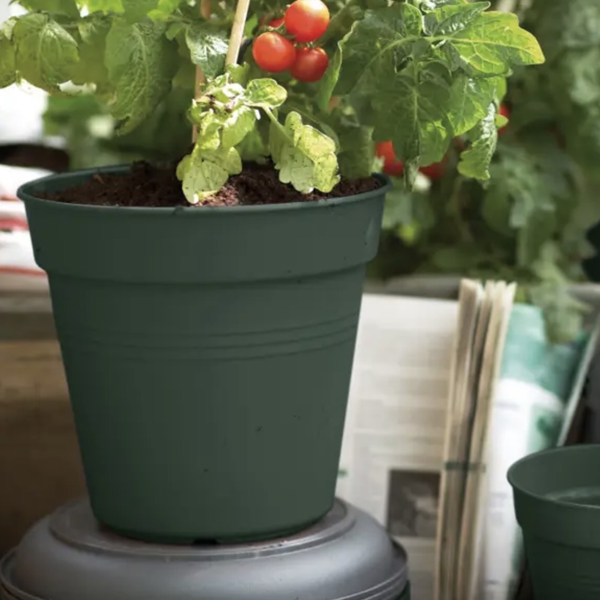 469d3b53bbbbc1610ab395ab79b6b8a7