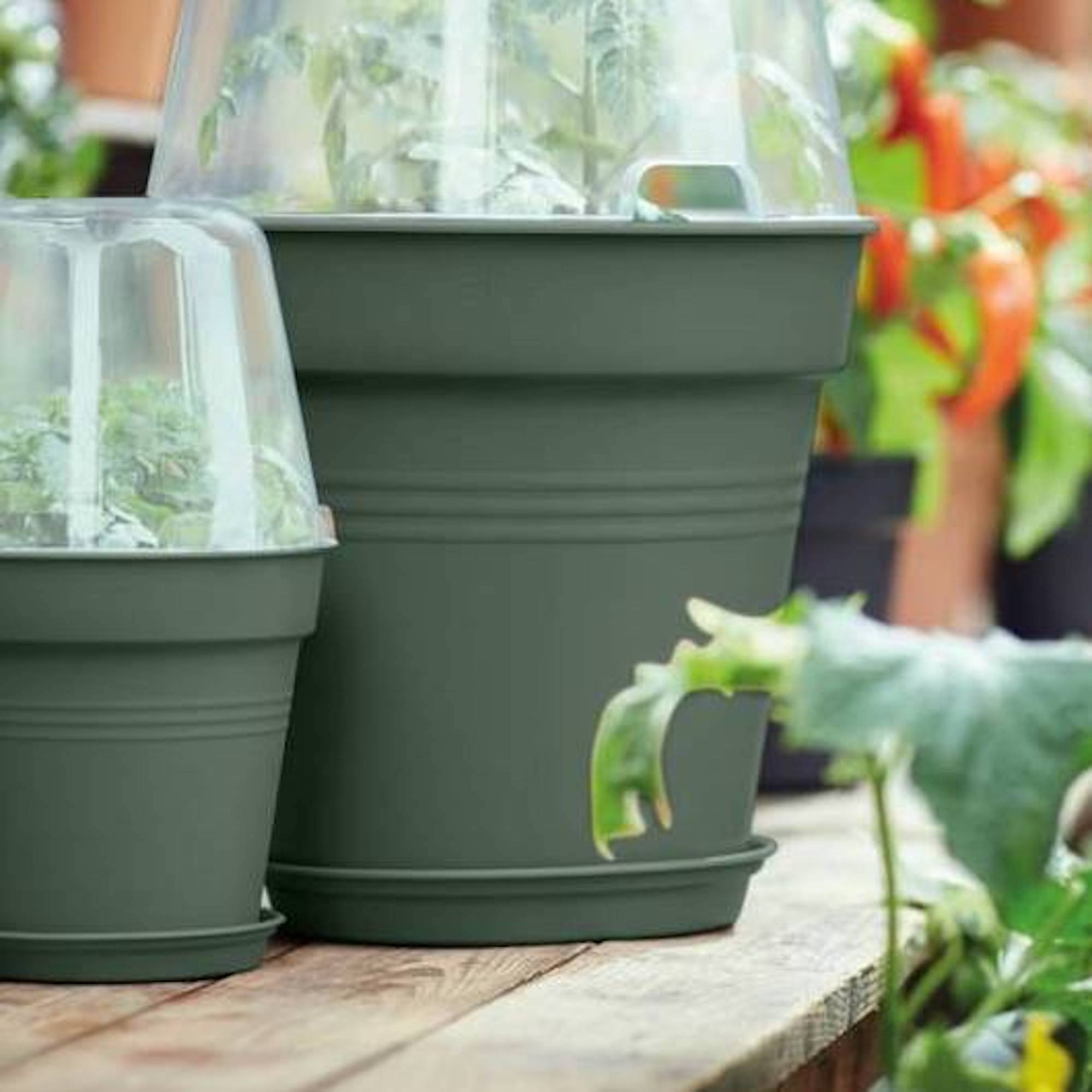 8711904299958_4.jpg 896c0b2fe7d78704cec50e7cd6b5d58d