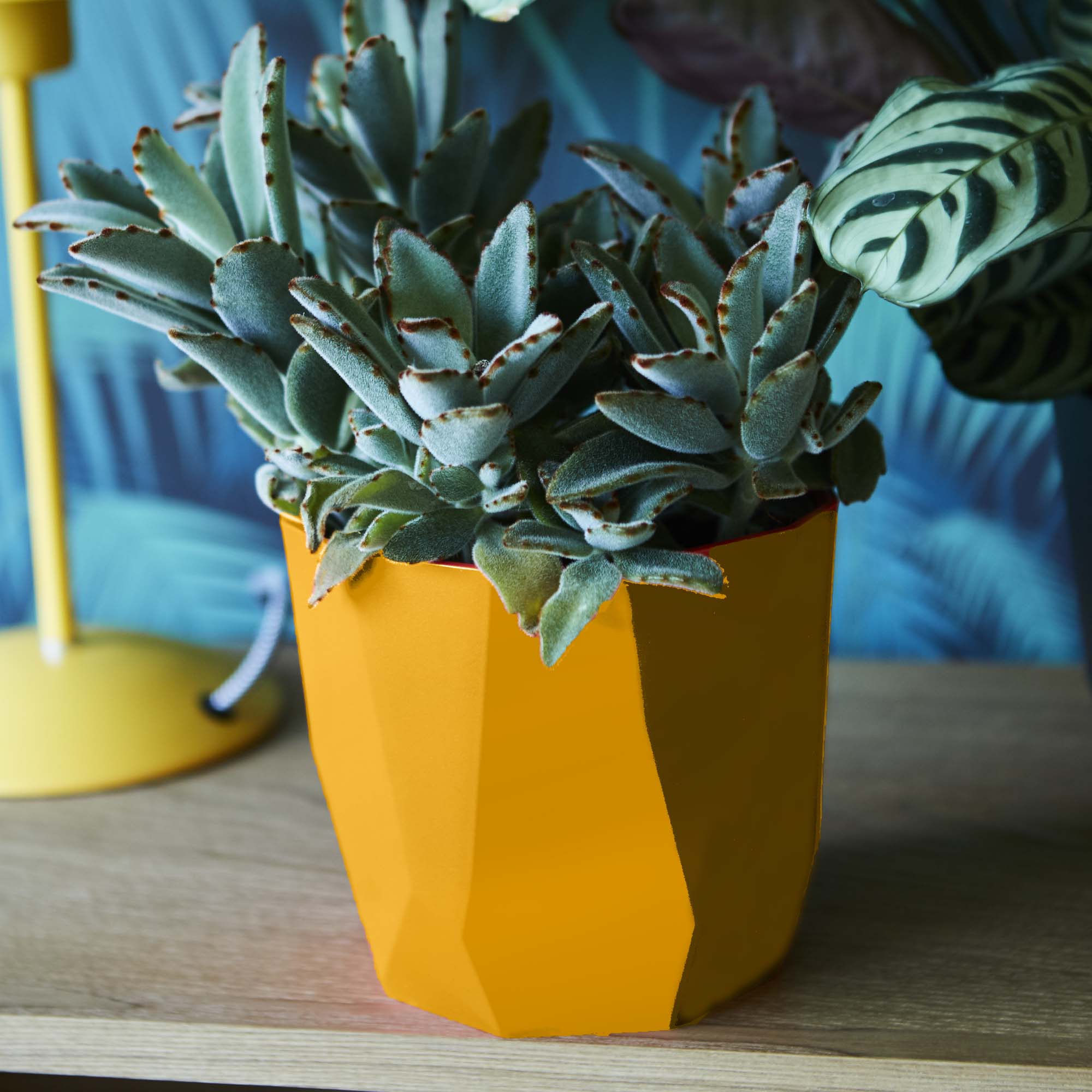 8711904302986_4.jpg babbeff83c921f34380ac6d9e6d22cde