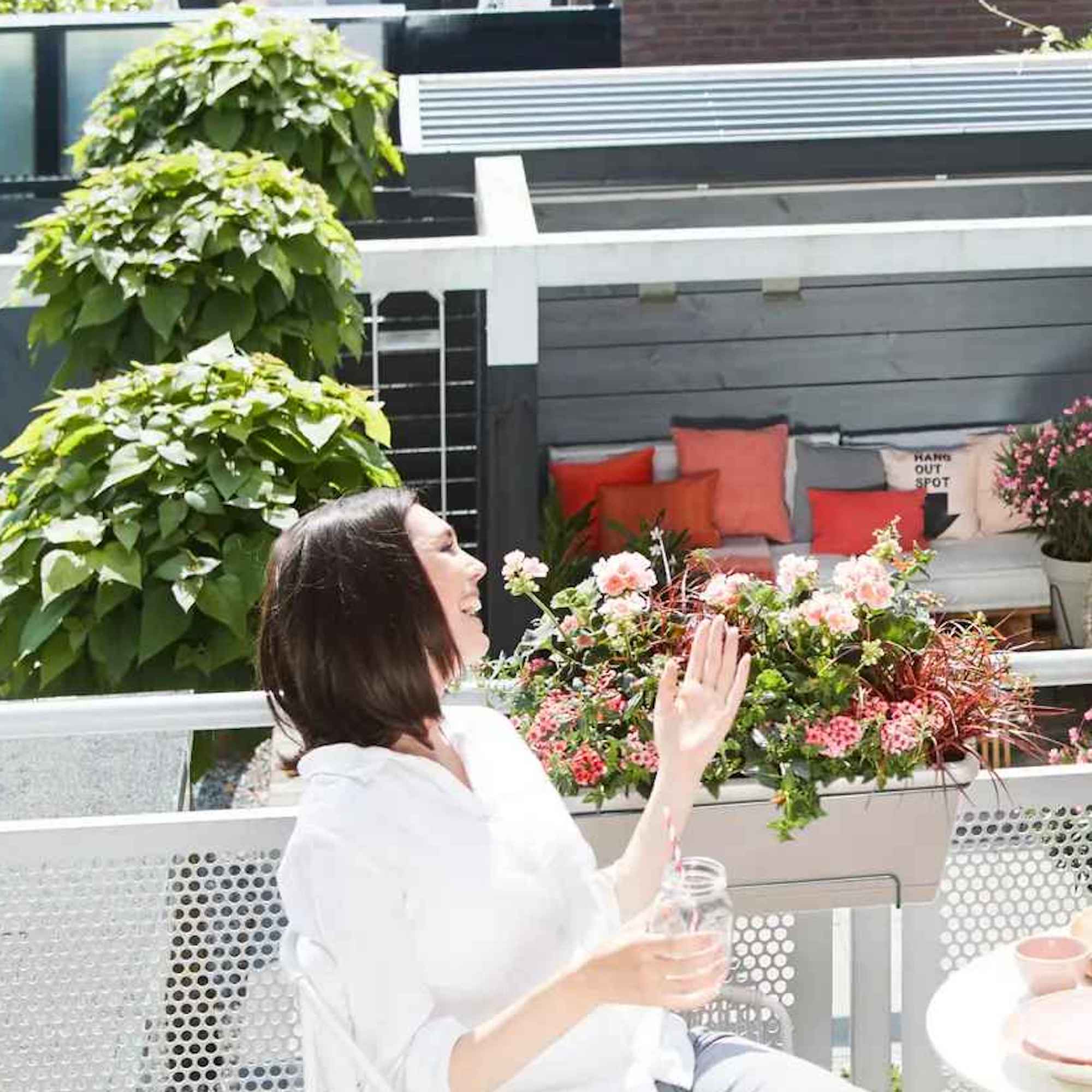 8711904311735_4.jpg 3155c3bc3fd74a6f54c6eb8d8cb7c787