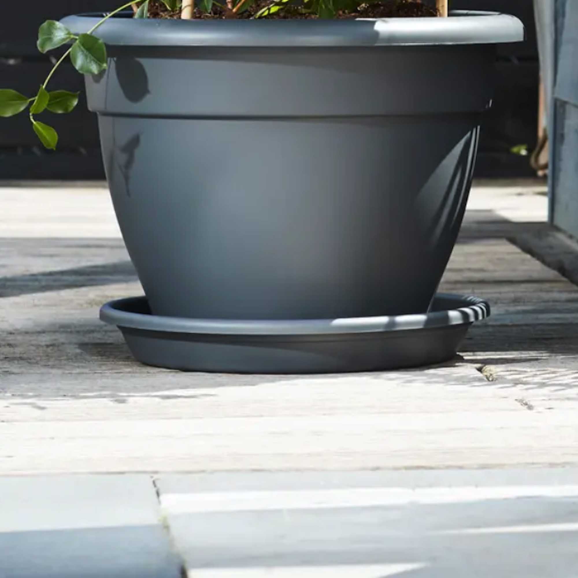 93fee4424cb5390d59fa650501195903