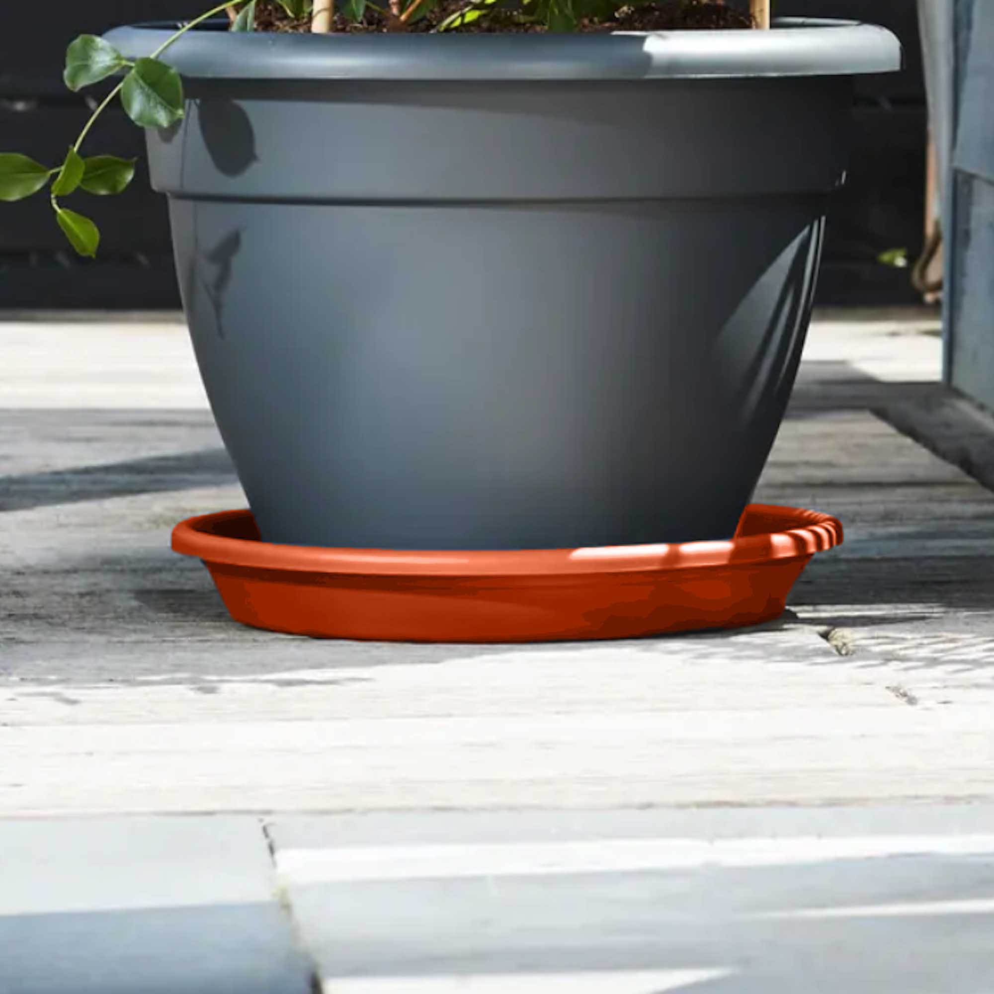 Screenshot bd2c10b288e5cbf07244a74985ee396f